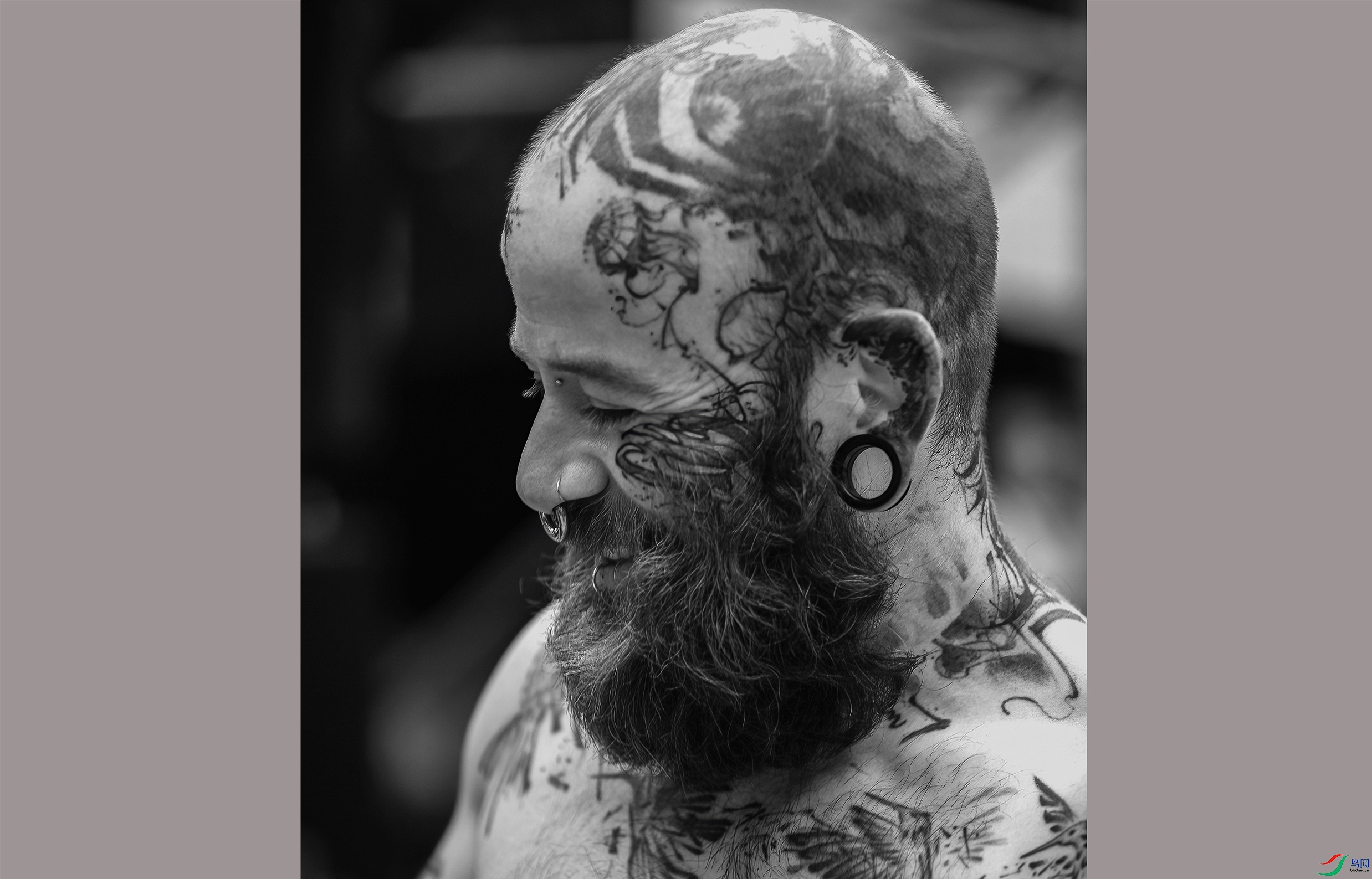 CB0A5708 ����2 ����.jpg