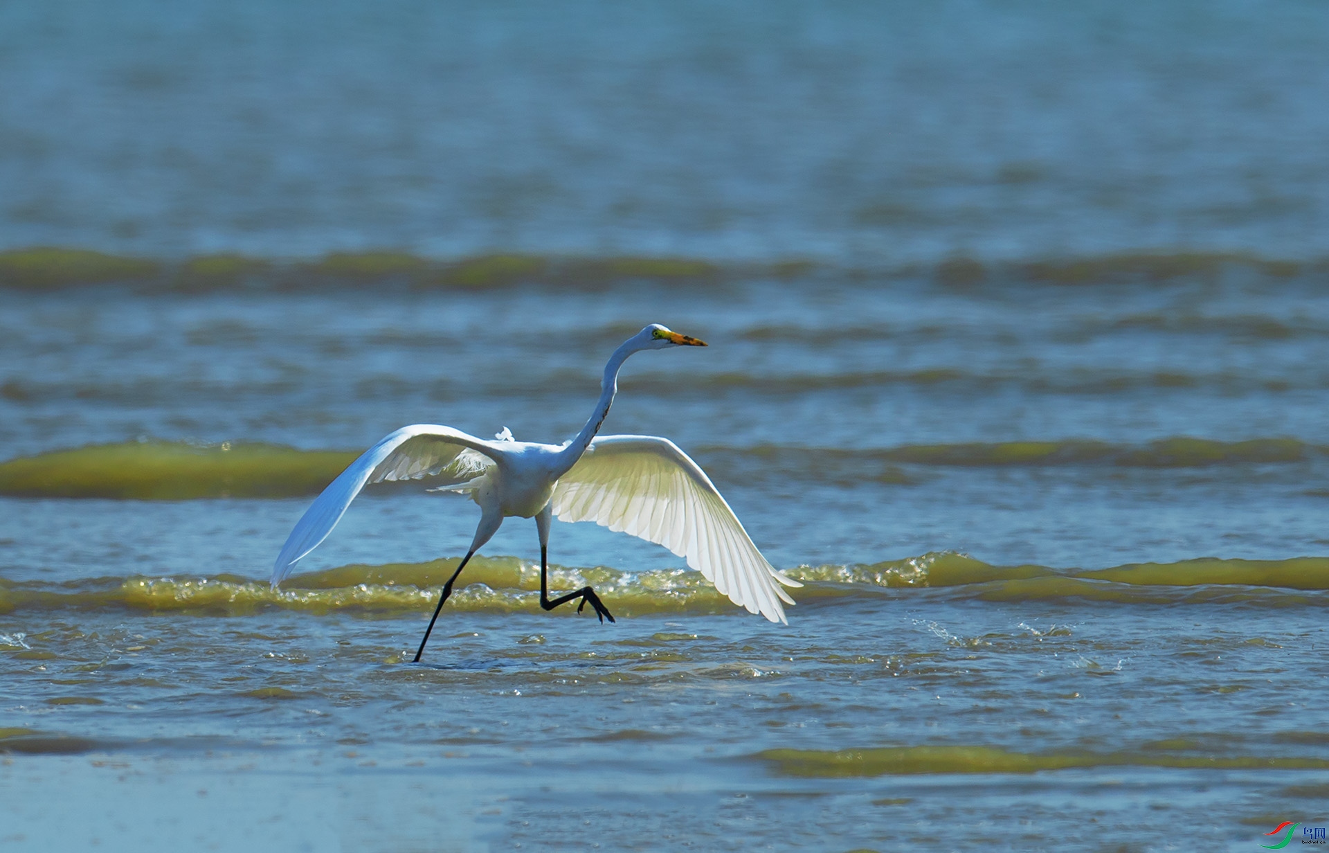 DSC_2072 -1.jpg