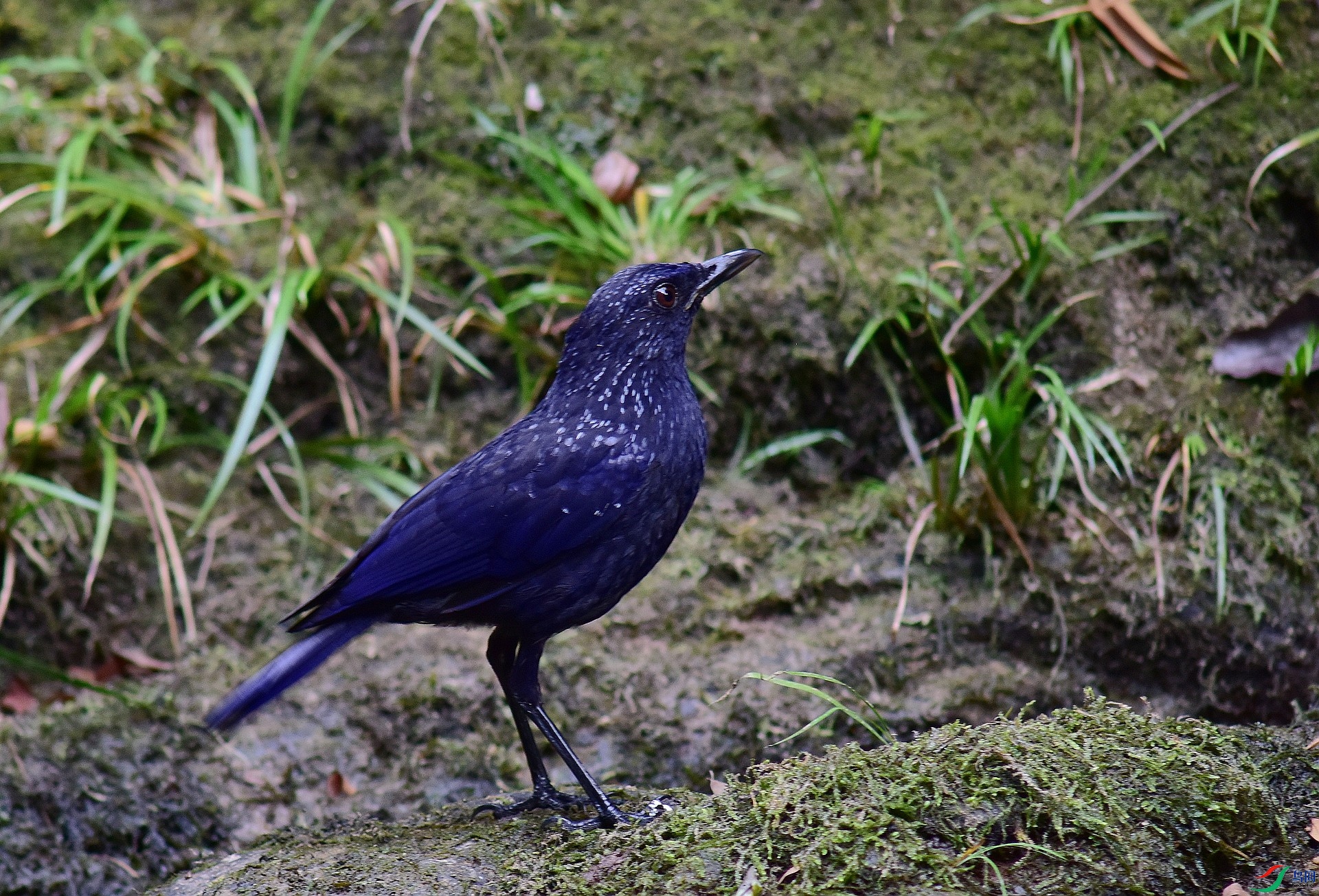 D8I_0280.jpg