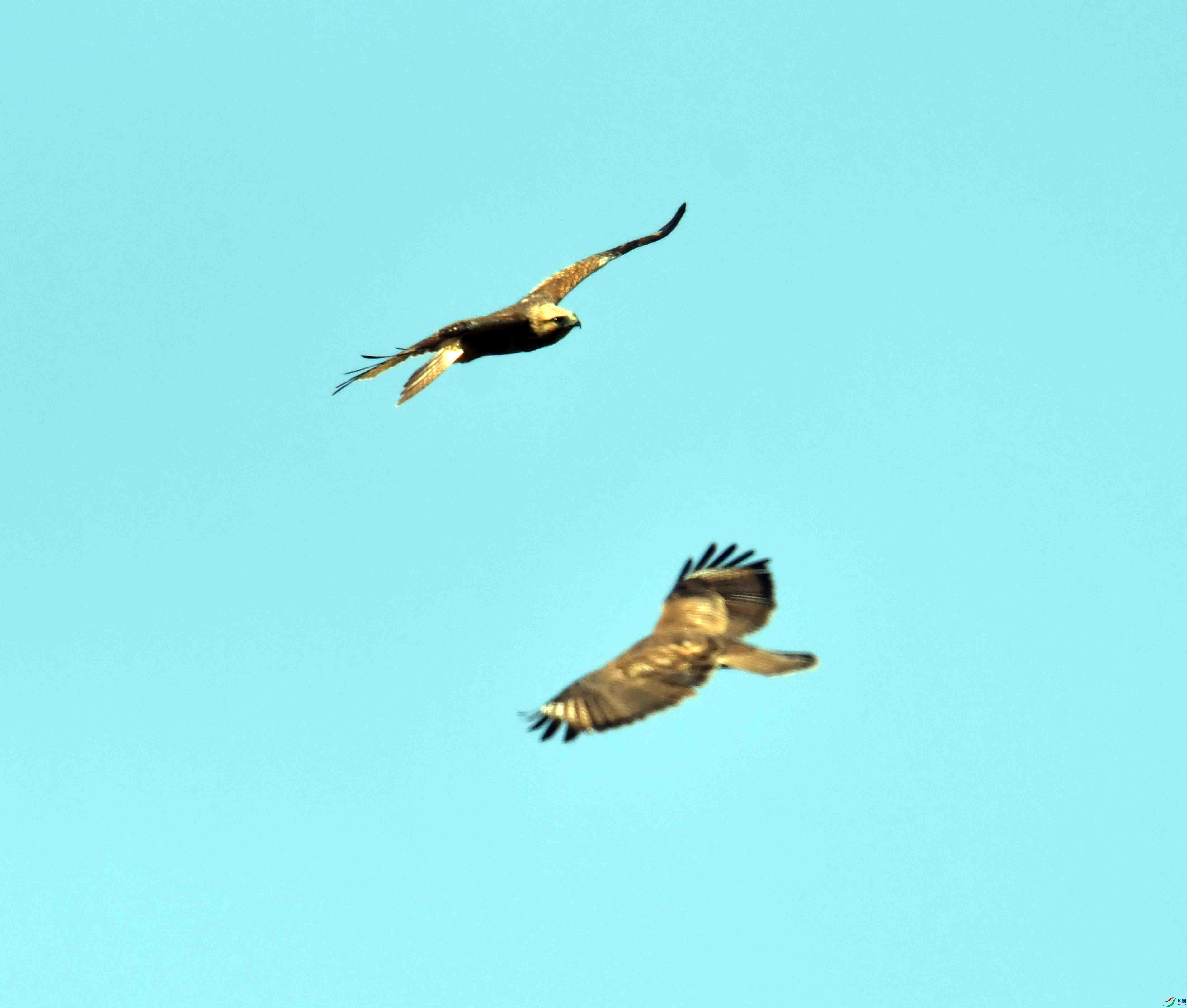 DSC_0582.JPG