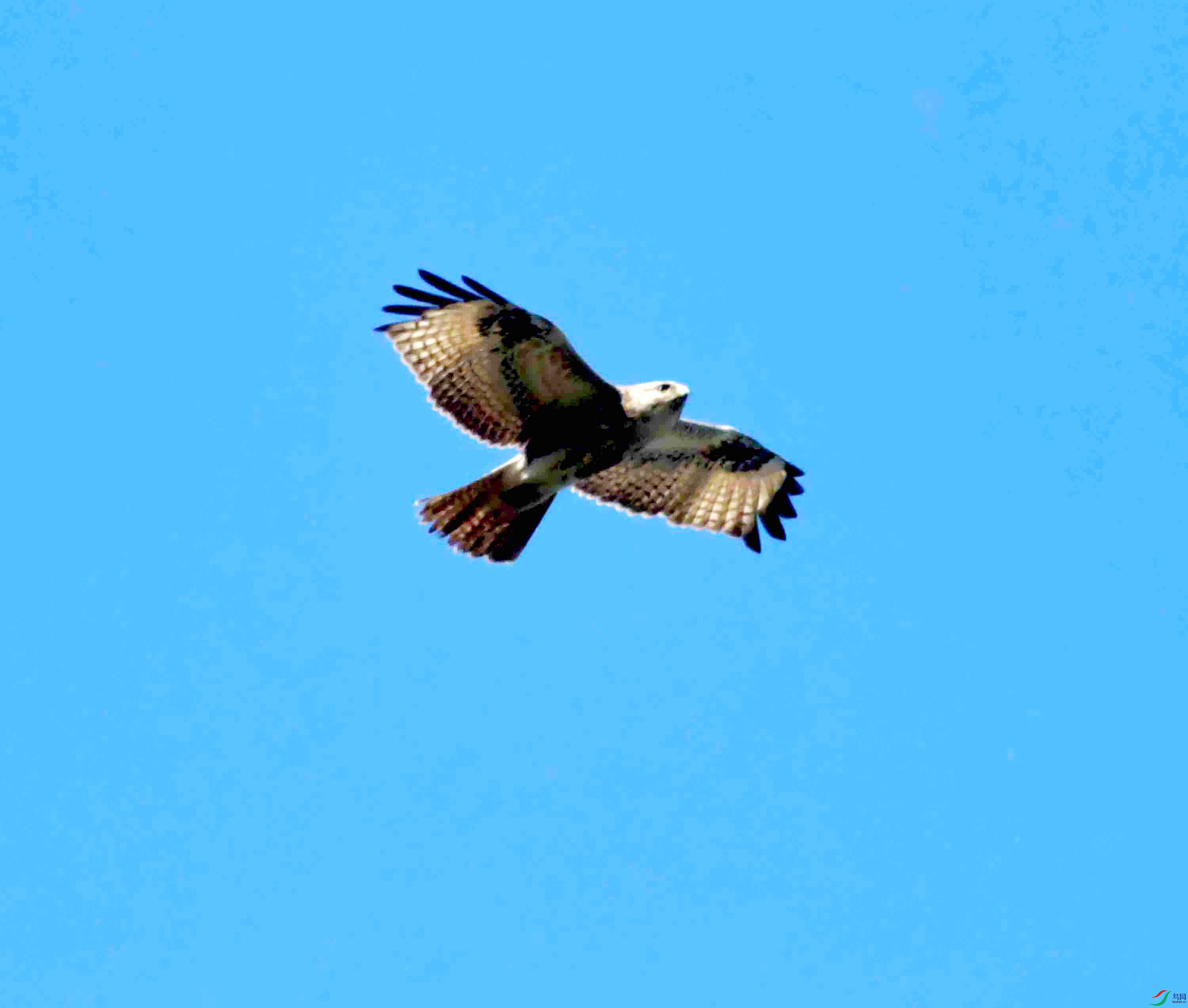 DSC_2450.JPG