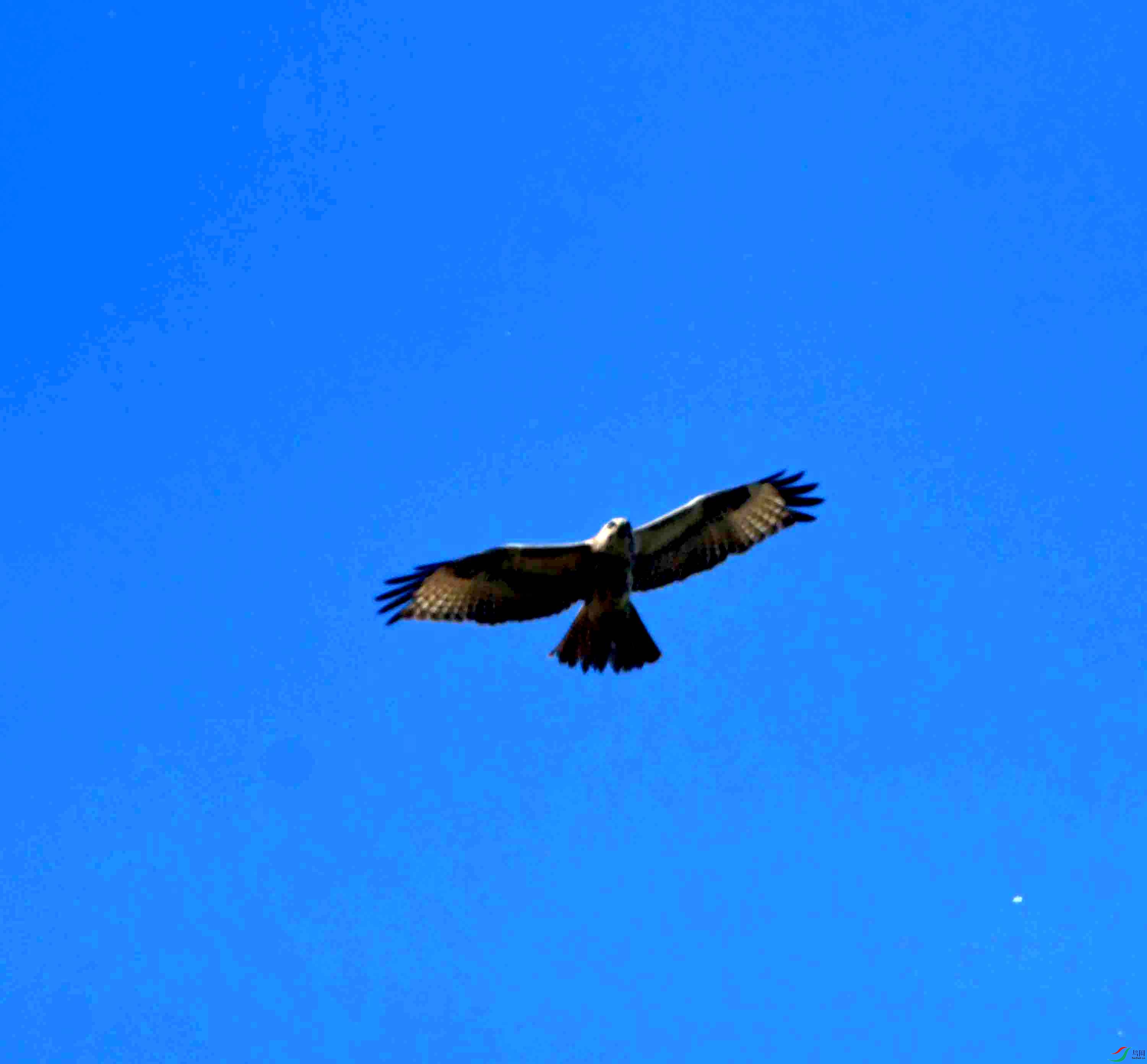DSC_2454.JPG