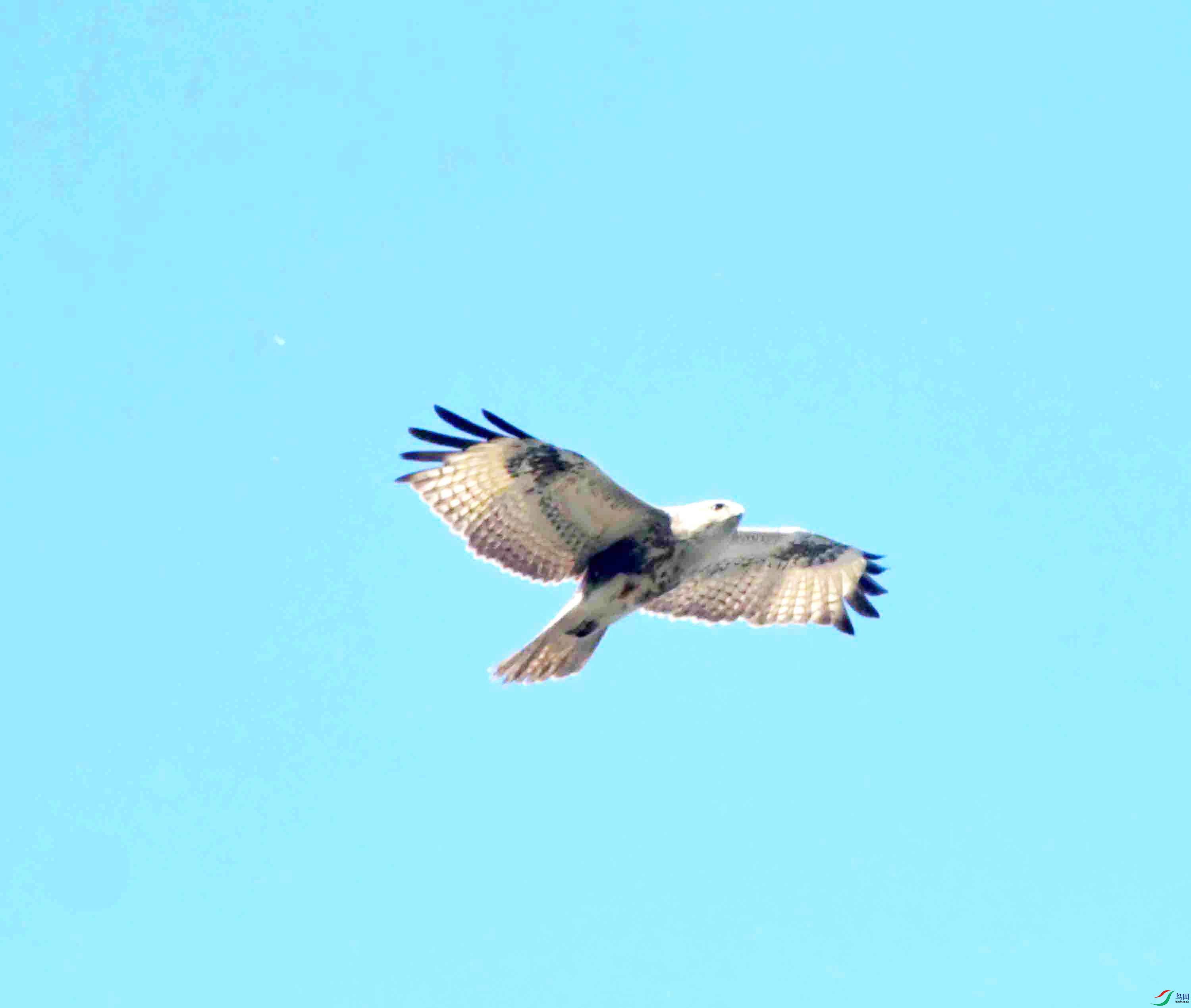 DSC_2452.JPG