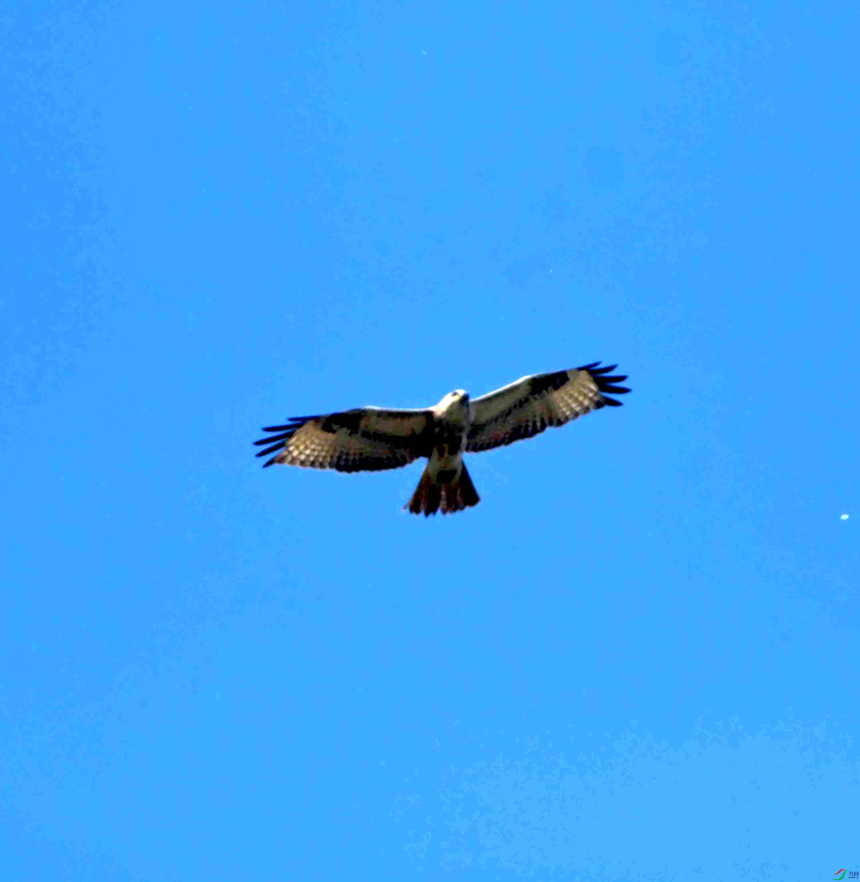 DSC_2453.JPG