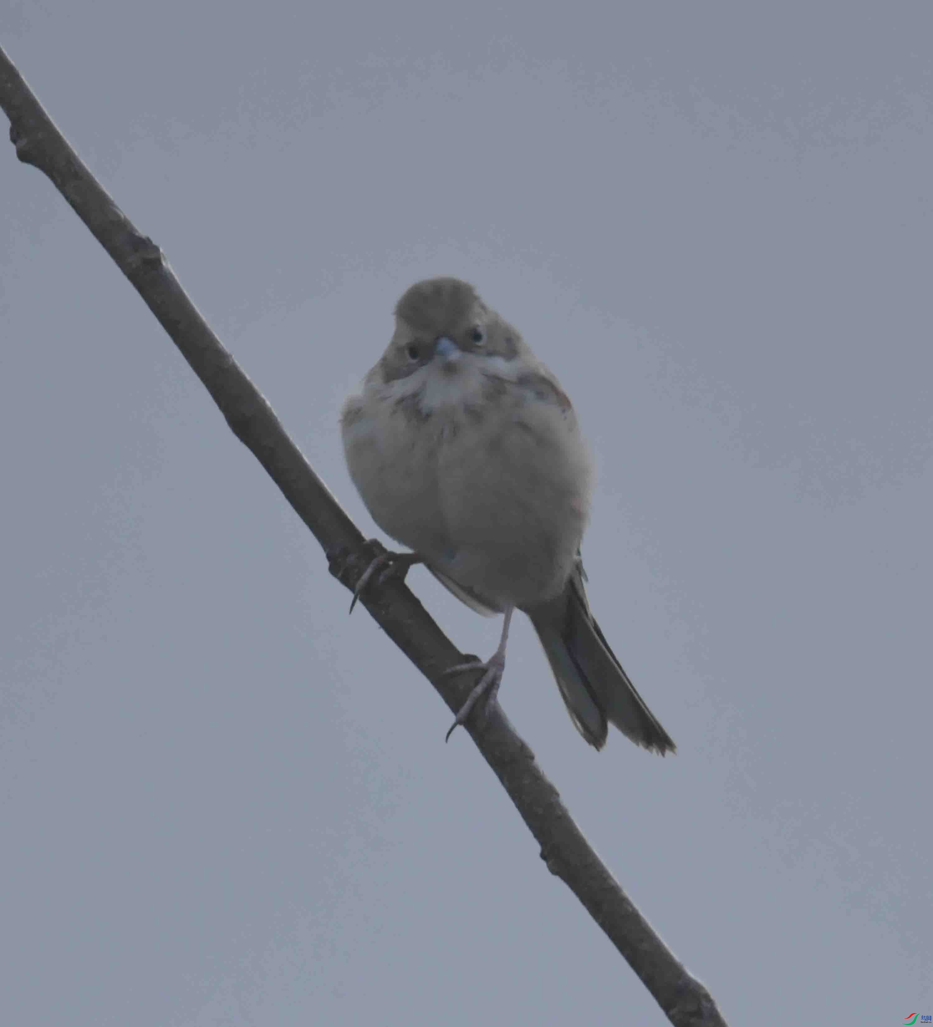 DSC_5411.JPG