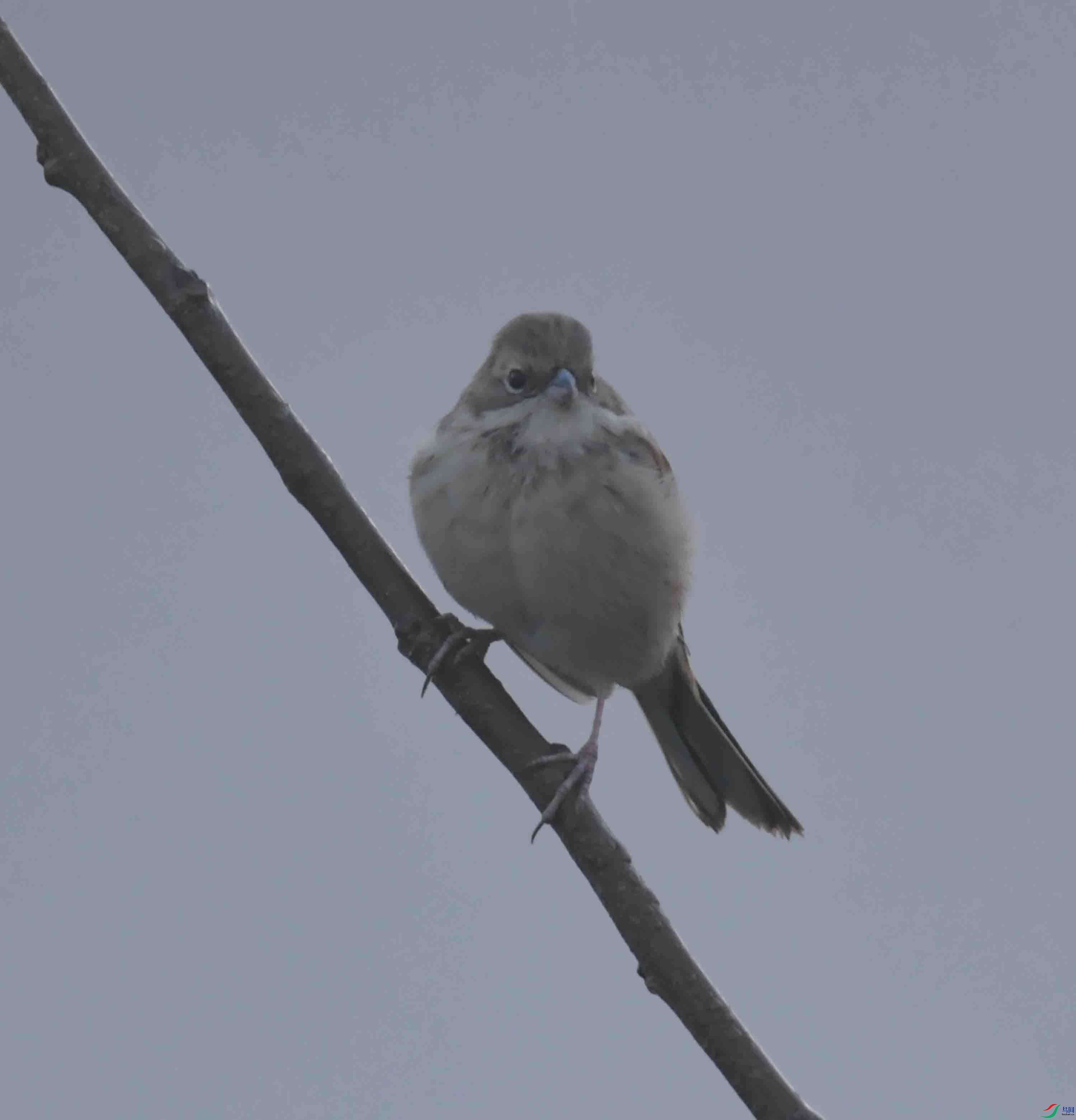 DSC_5410.JPG