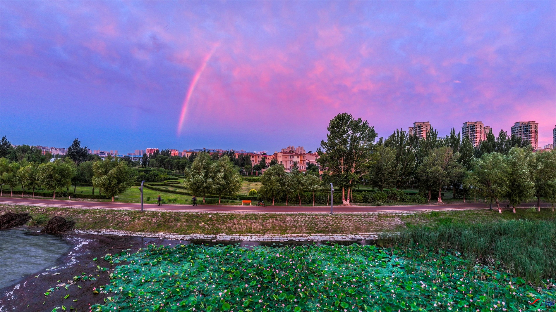 dji_export_20240726_184918_1721990958465_sphere_screenshot ����1.jpg