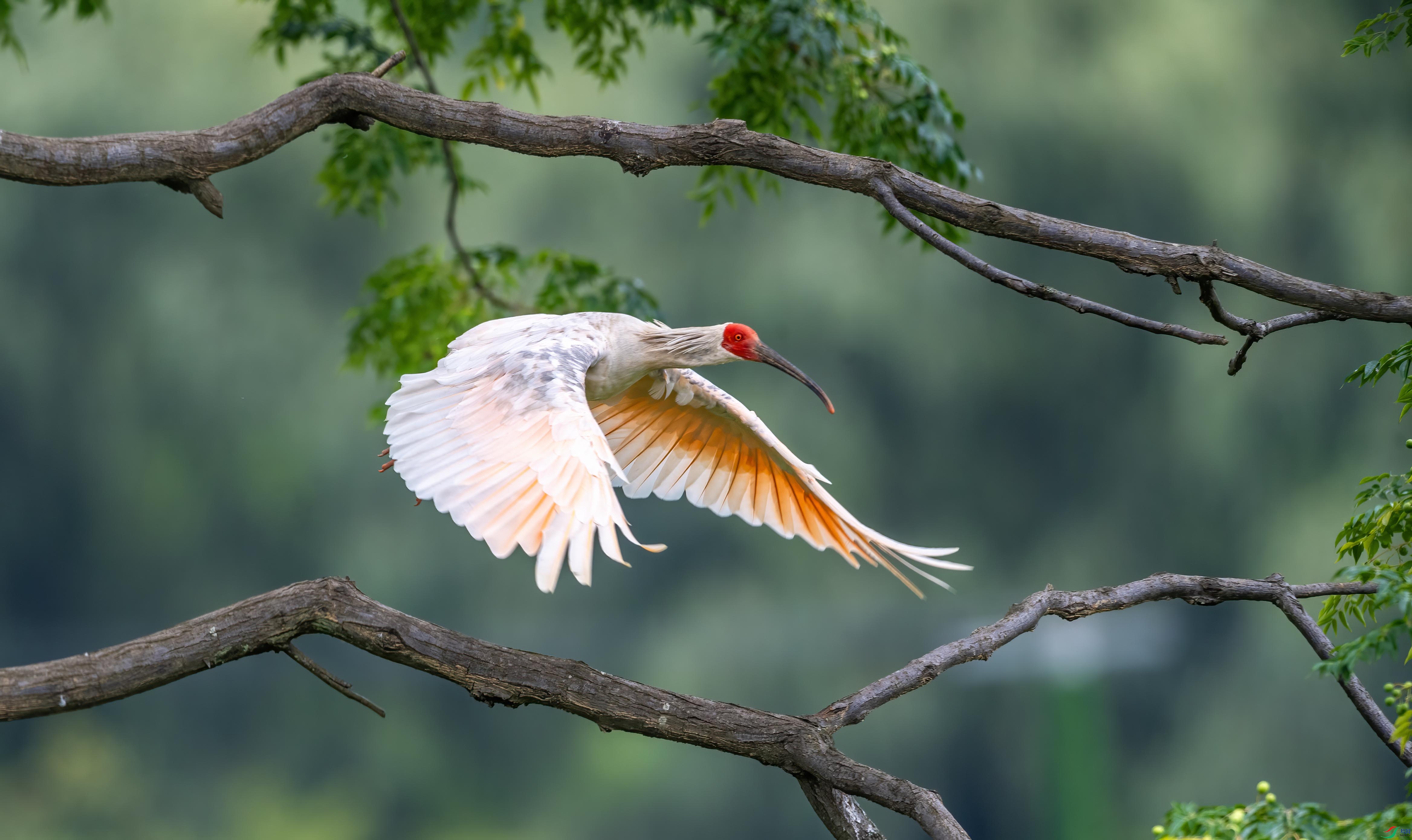 DSC_8591 ����.jpg