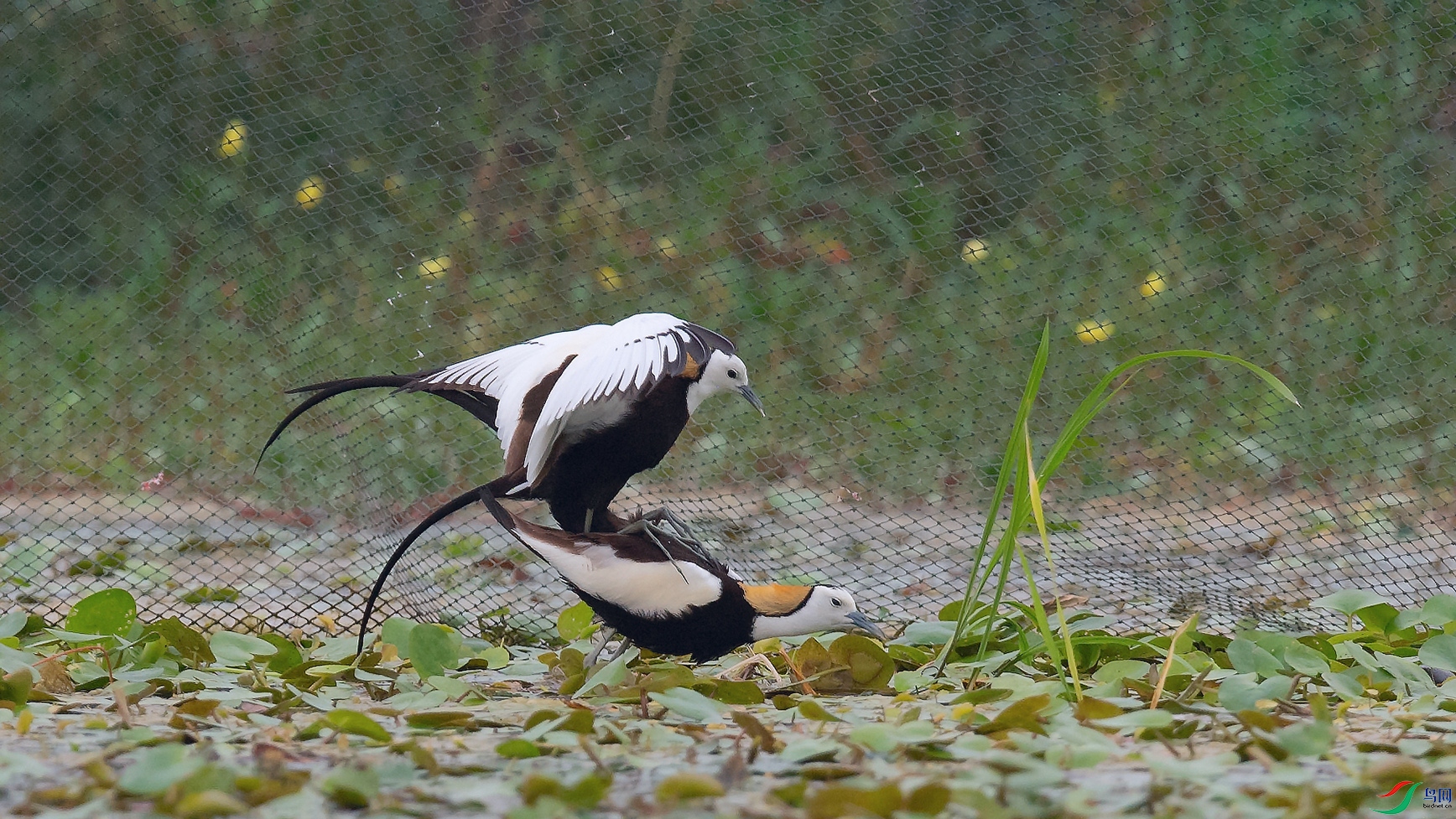 DSC_6941_DxOa.jpg