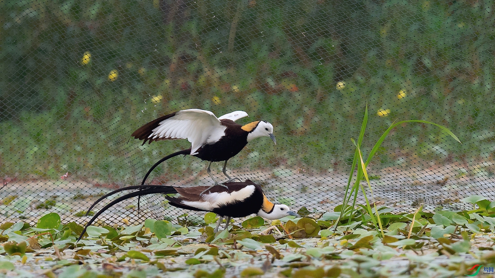 DSC_6904_DxOa.jpg
