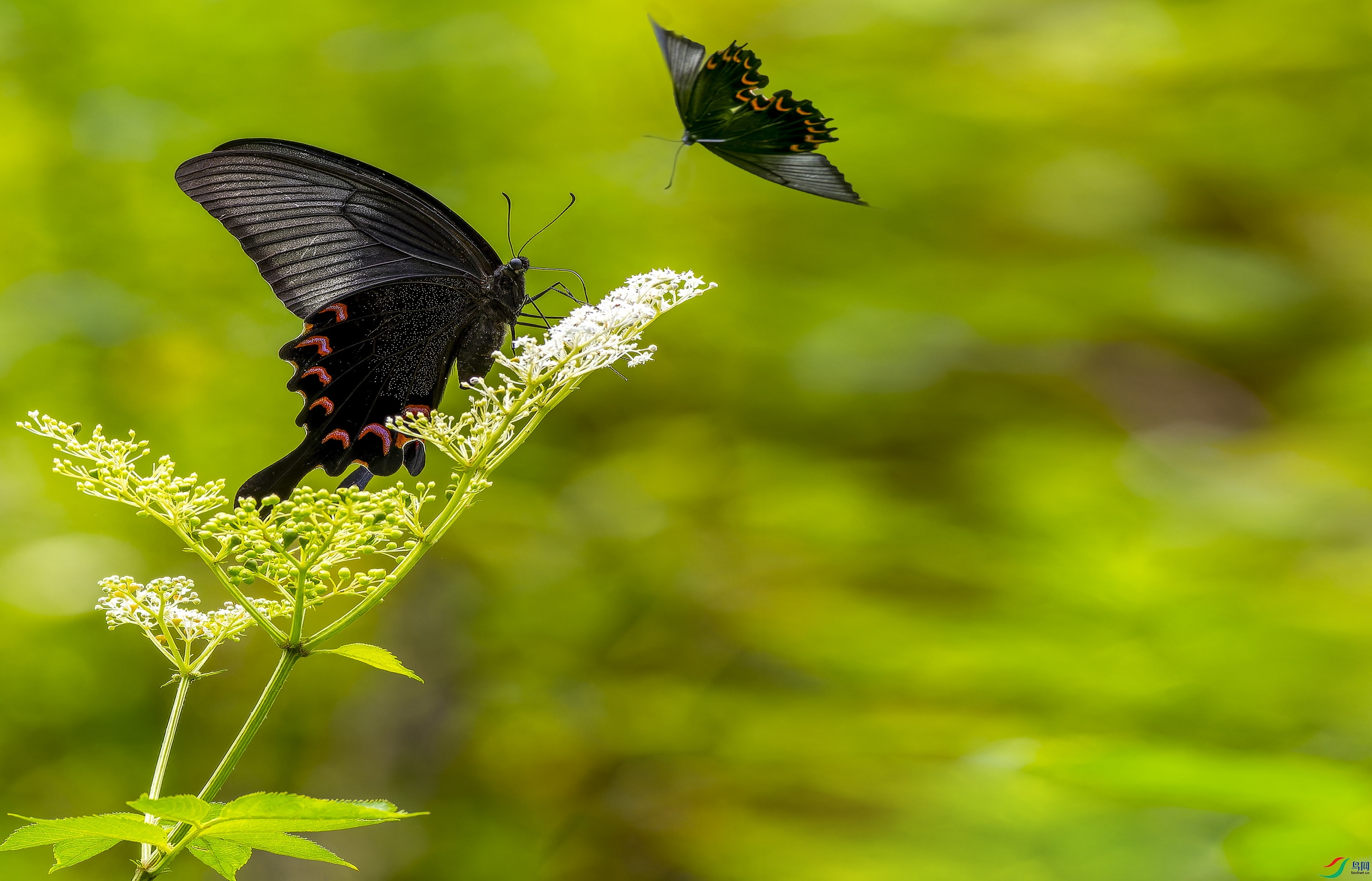 �̷����2024�� (221)-01-1.jpg