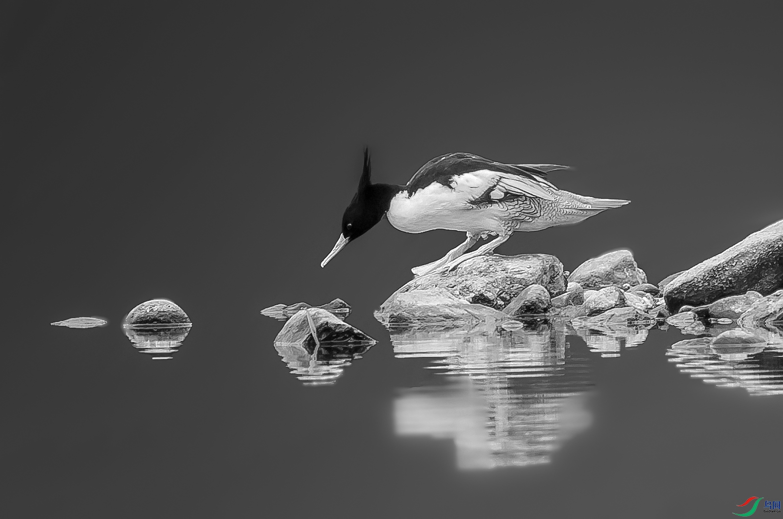 1885-1 ���� jpg.jpg