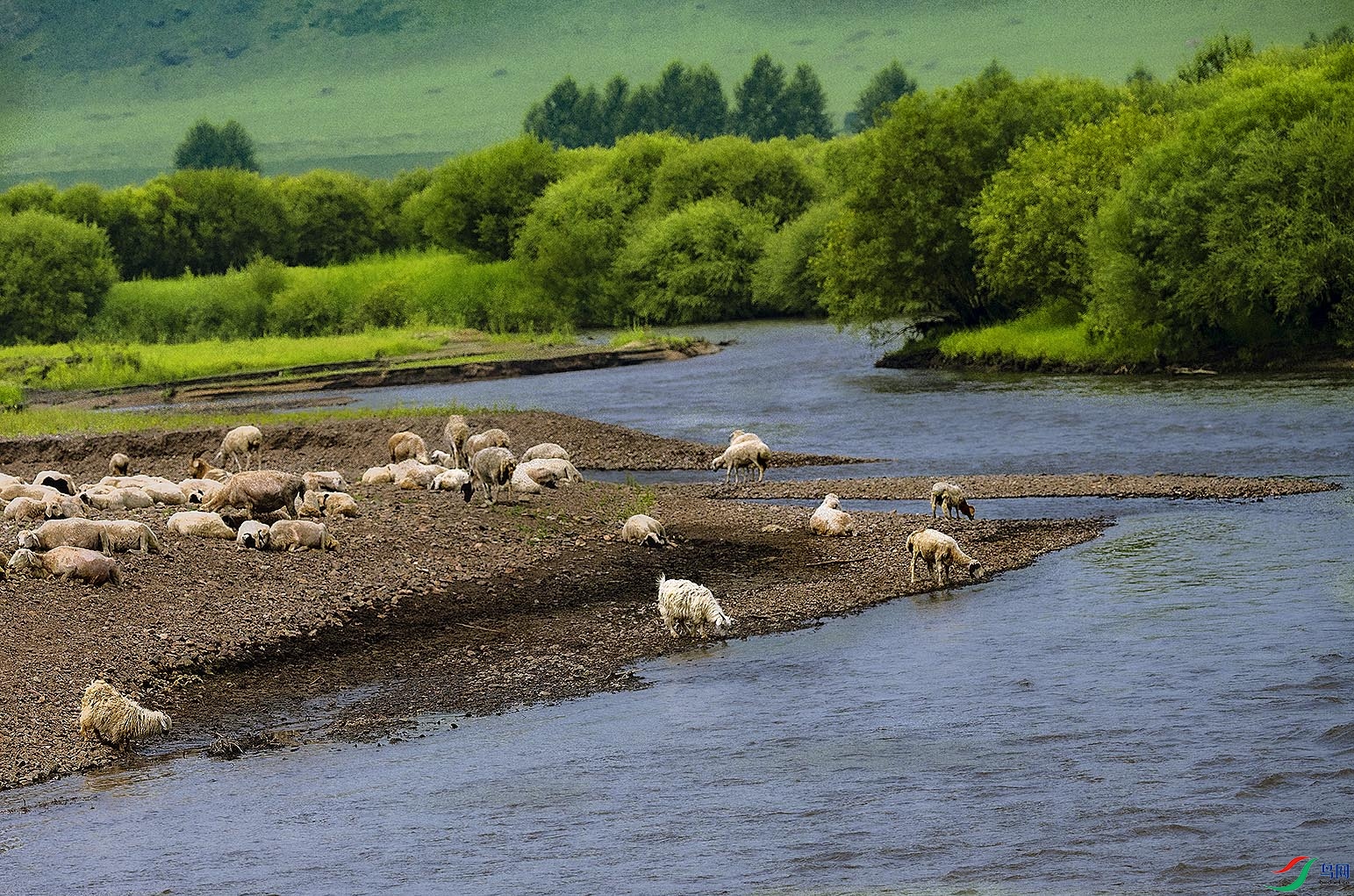 �紵�ݵͼ�ţ��