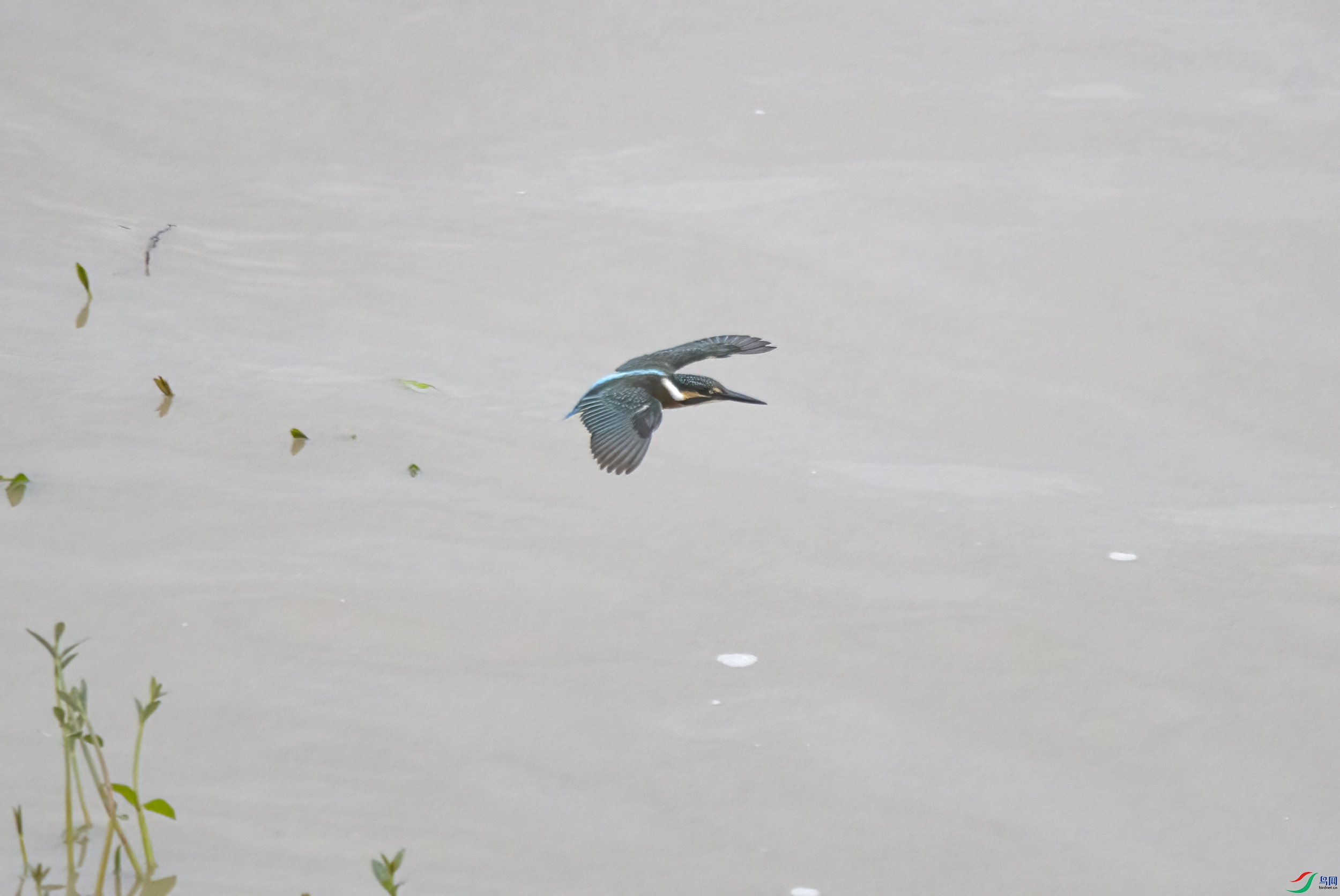 DSC_3218.jpg