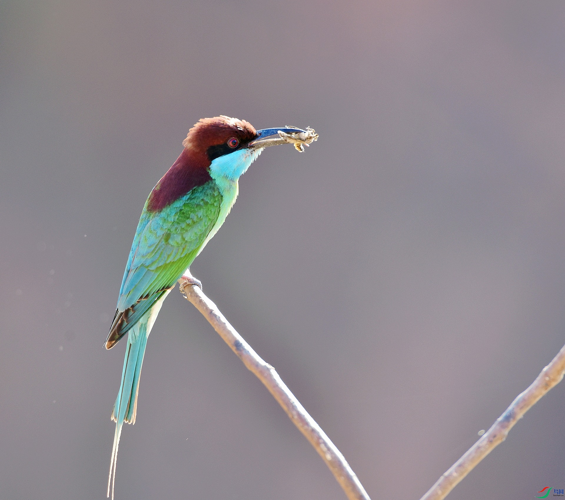 D8I_9806.jpg
