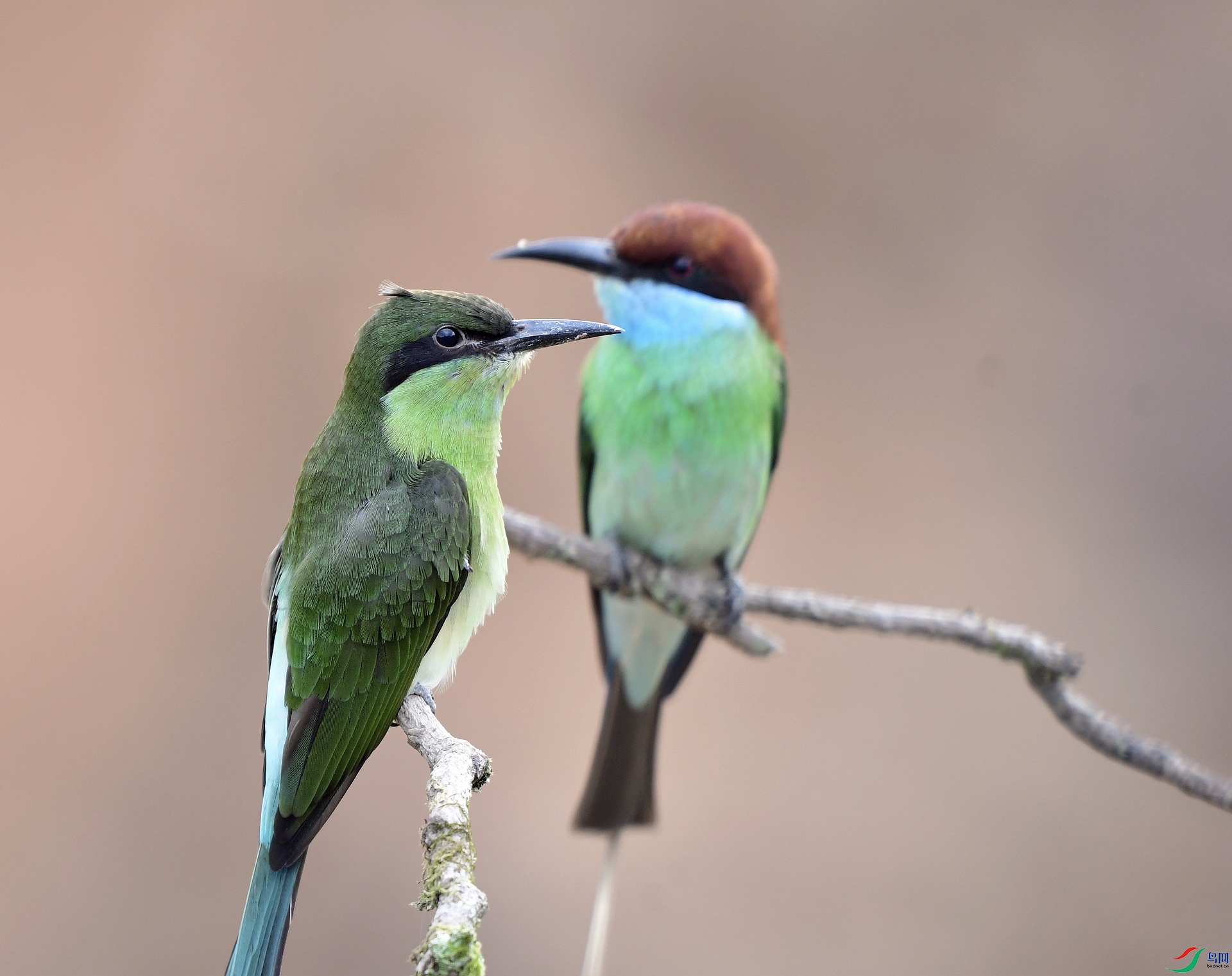 _D5D0952.jpg