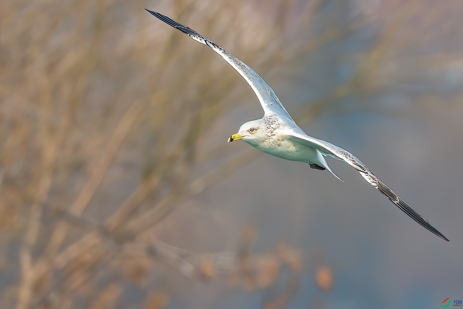 AQ4P1002-1.jpg