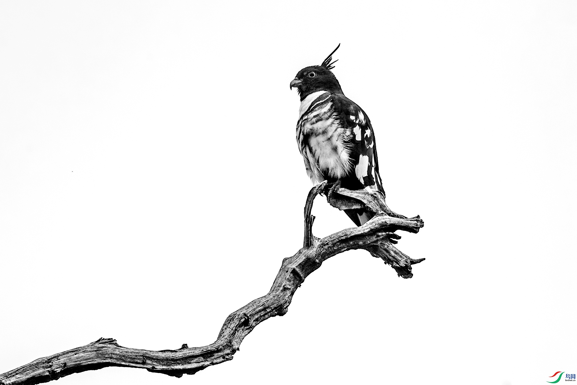 �ڹھ���007 -1.jpg