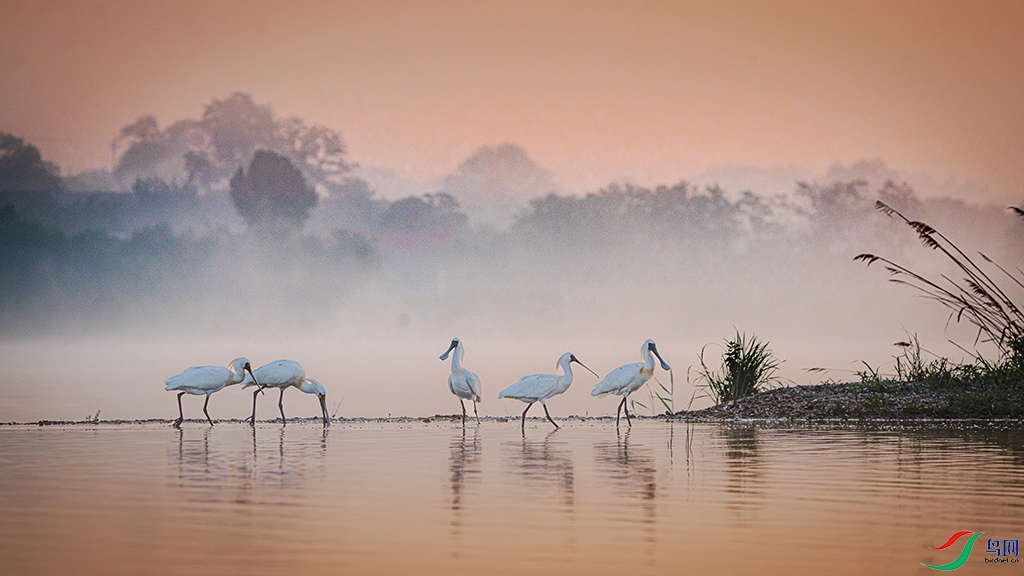 ��������ϼ����������