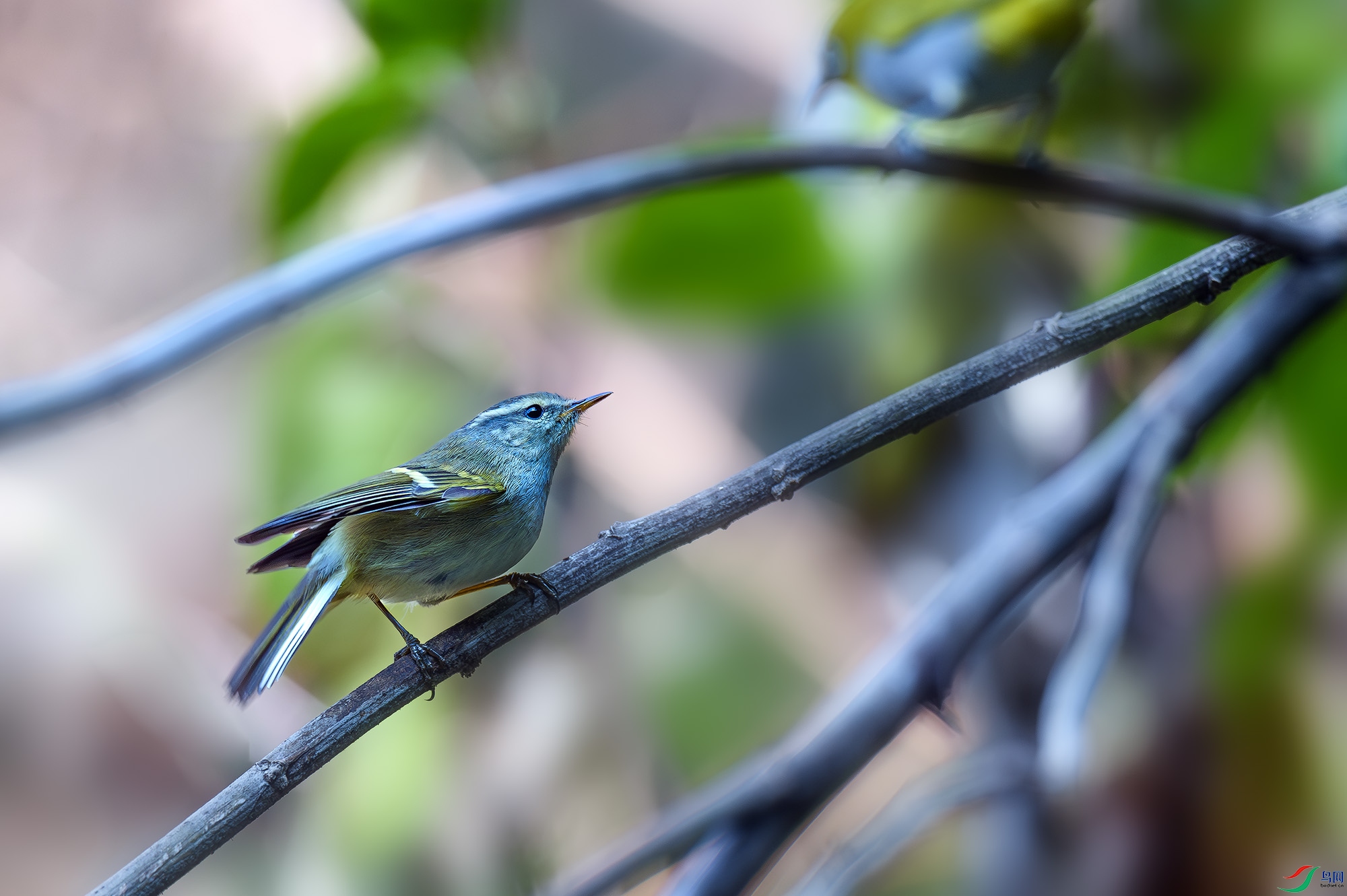 _DSC0561-����ǿ-NR ����.jpg