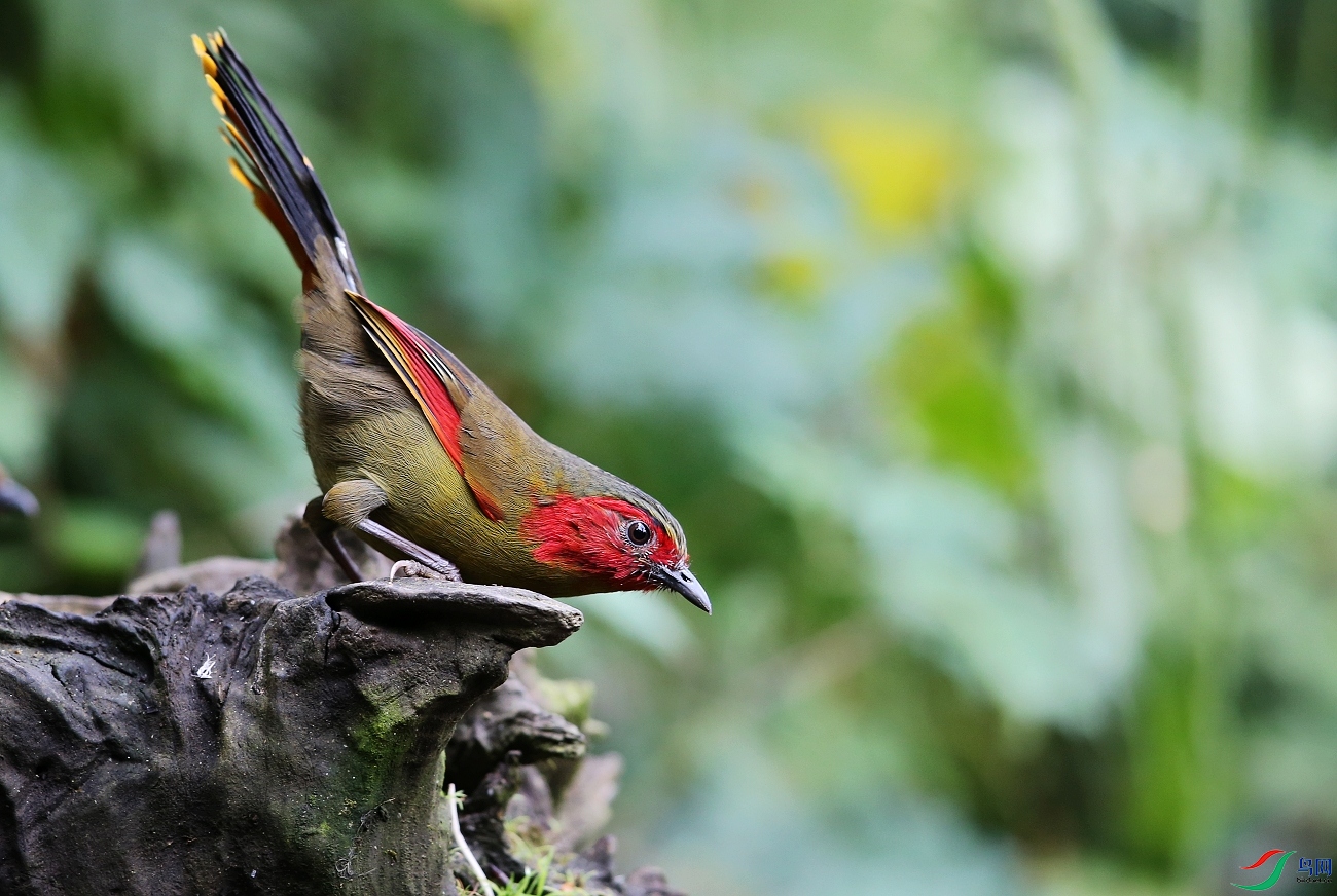 ���� IMGL7556.JPG