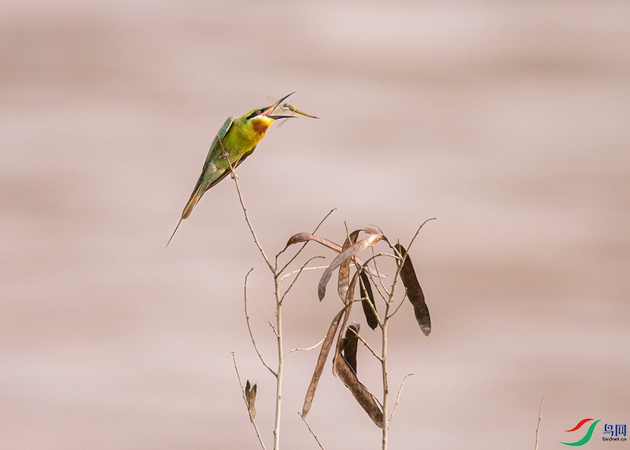 0R5A3559 ����.jpg