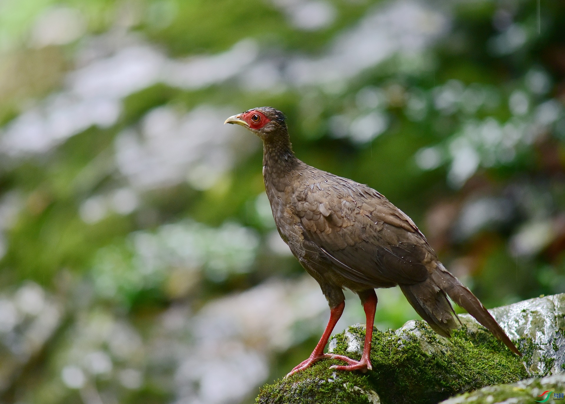 D8I_0255.jpg