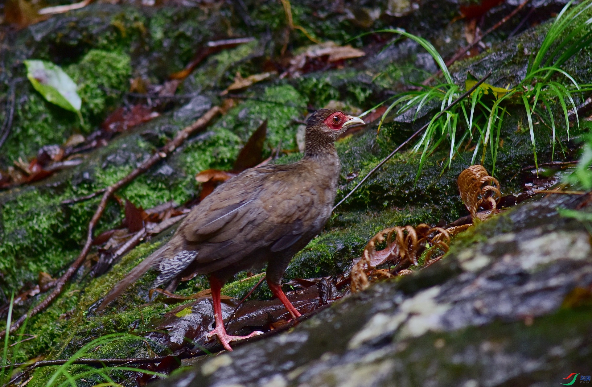 D8I_0643.jpg