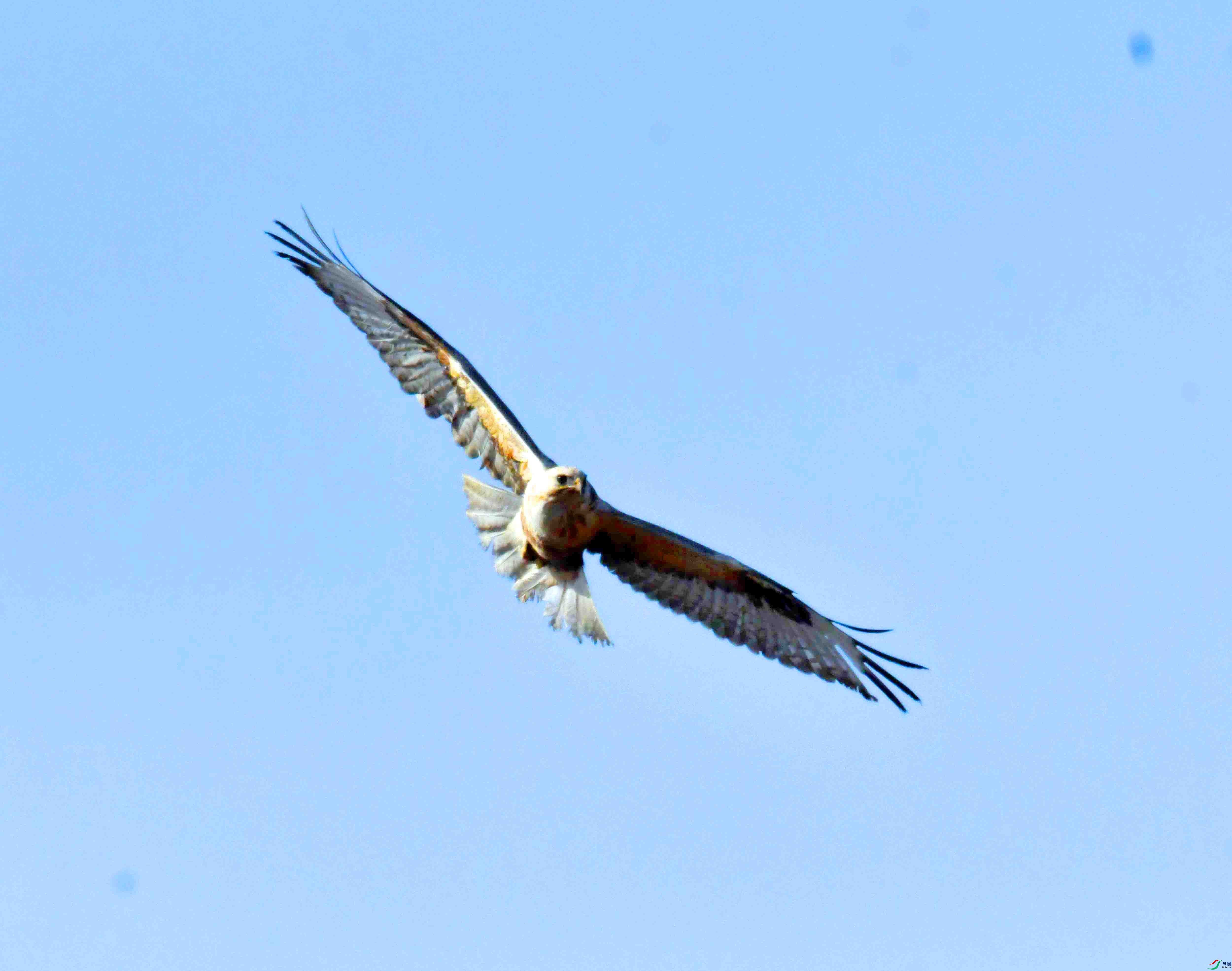 DSC_1766.JPG