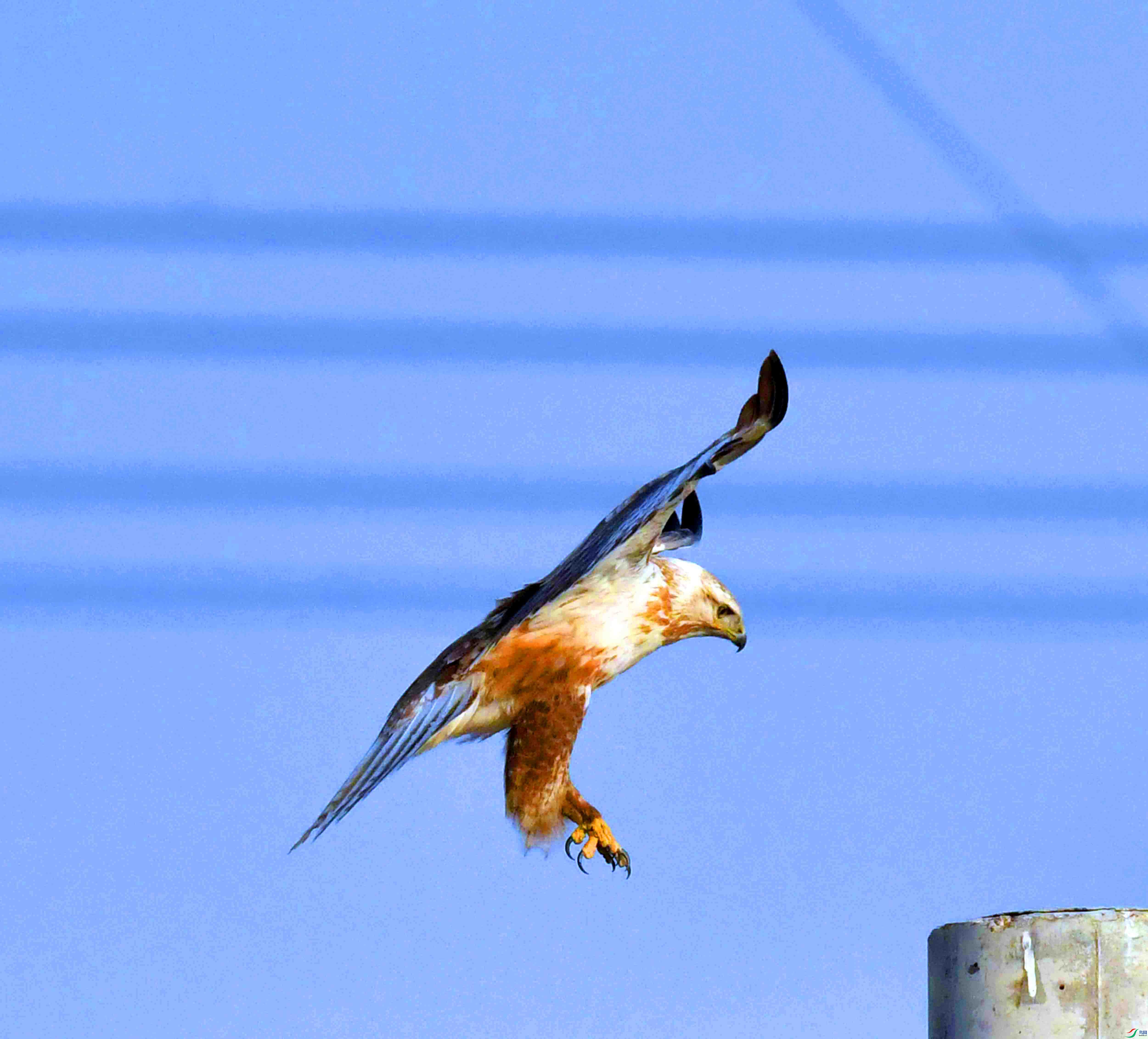 DSC_6166.JPG