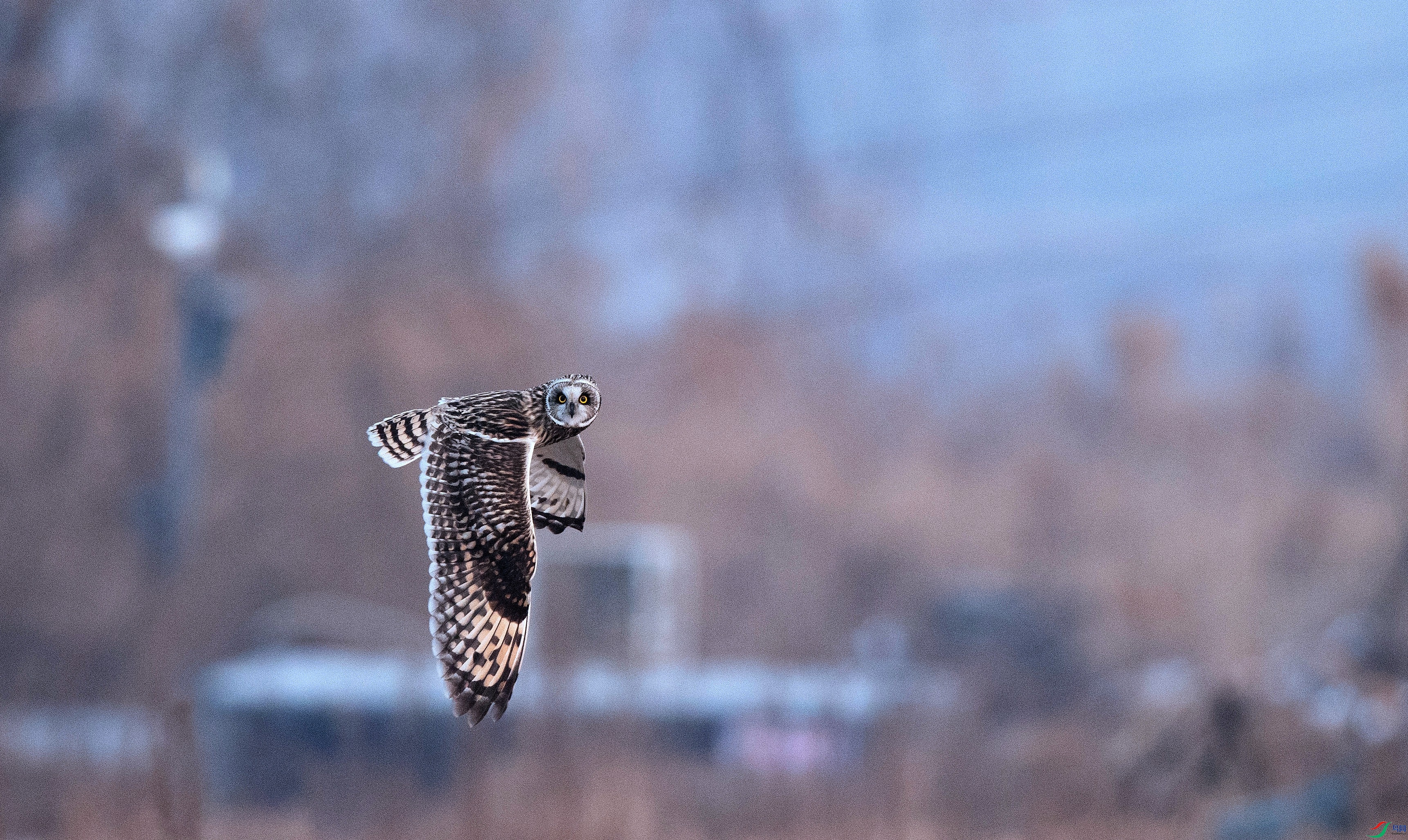 A63I2315_����.jpg