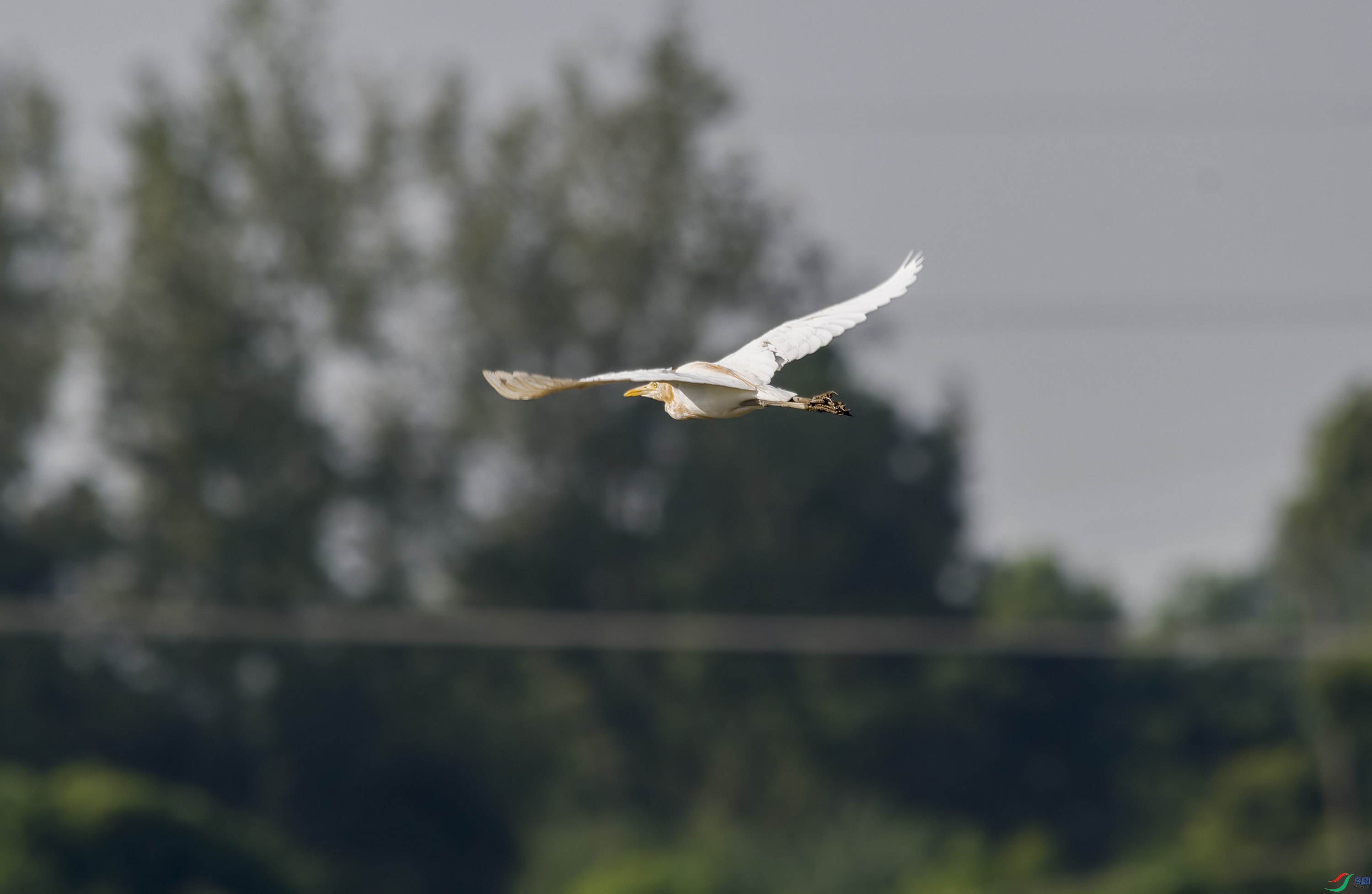 DSC_2842.jpg