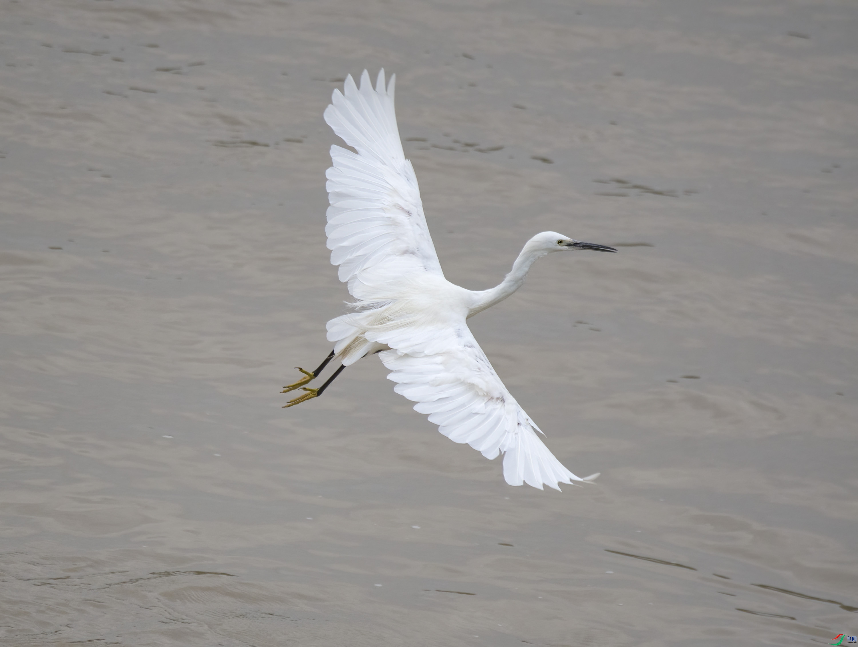 DSC_2961.jpg