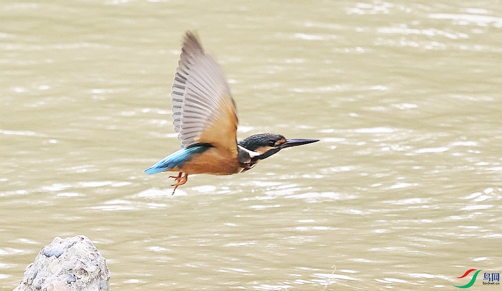 1P3A5349.JPG