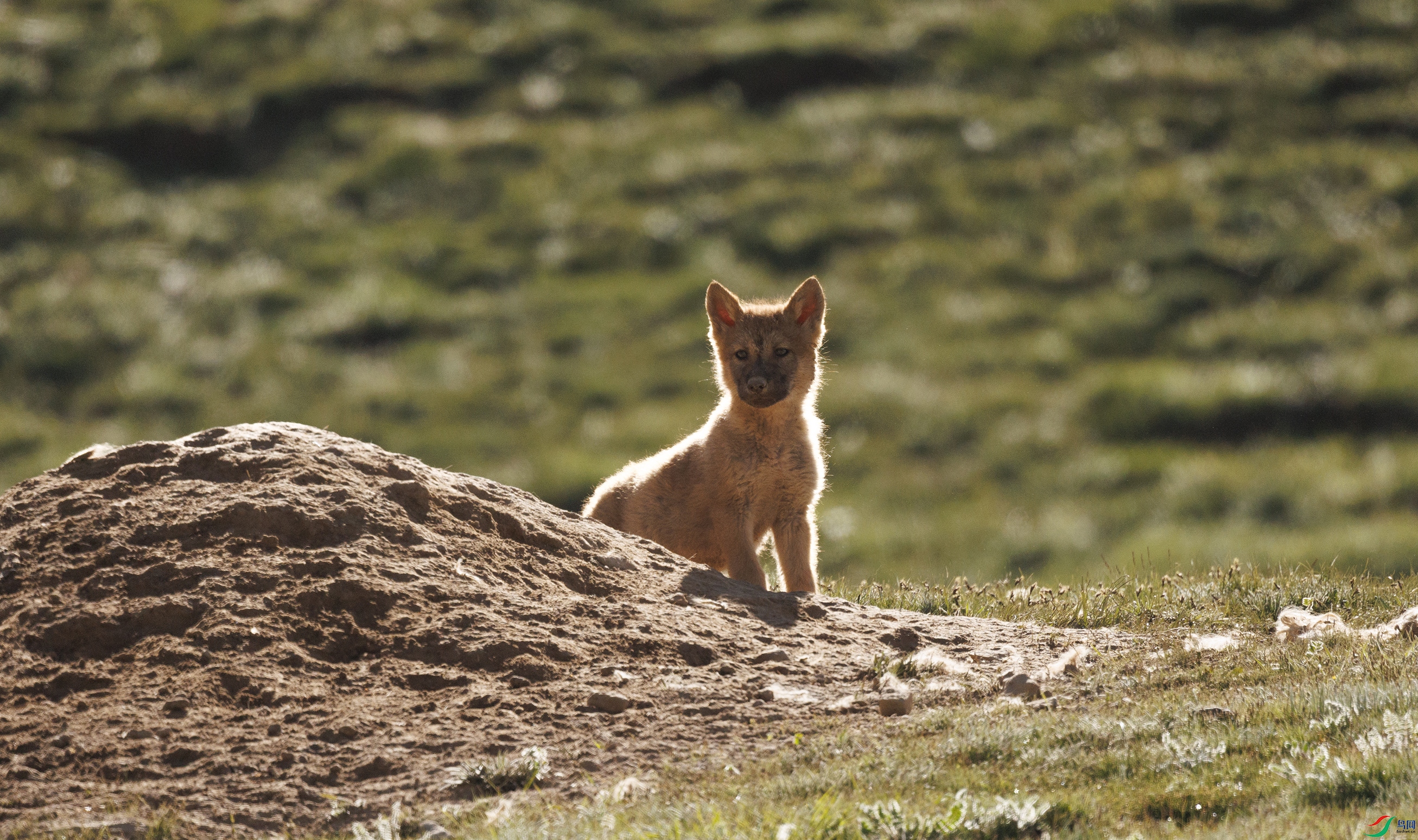 7X5A5519 ����9999.jpg