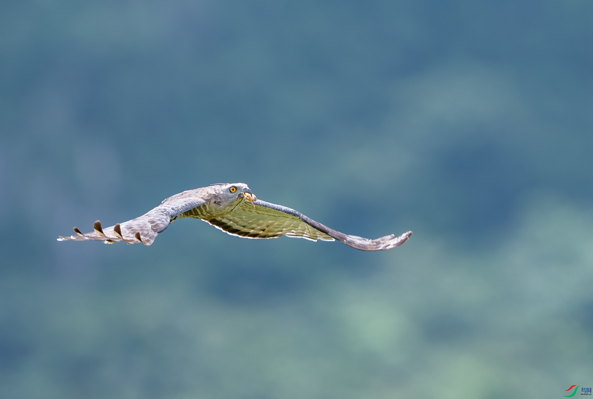 DSC_4158.jpg