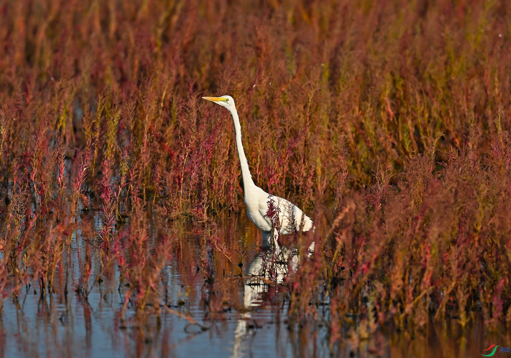 _DSC9142f.jpg