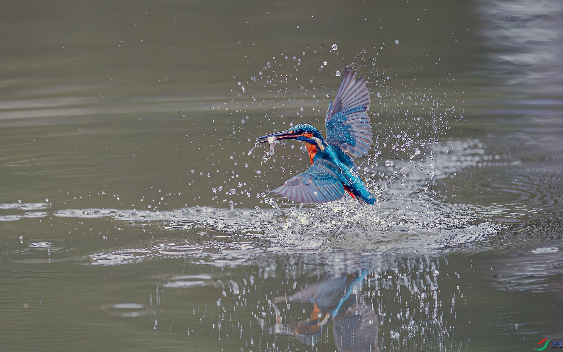 DSC_8440.jpg