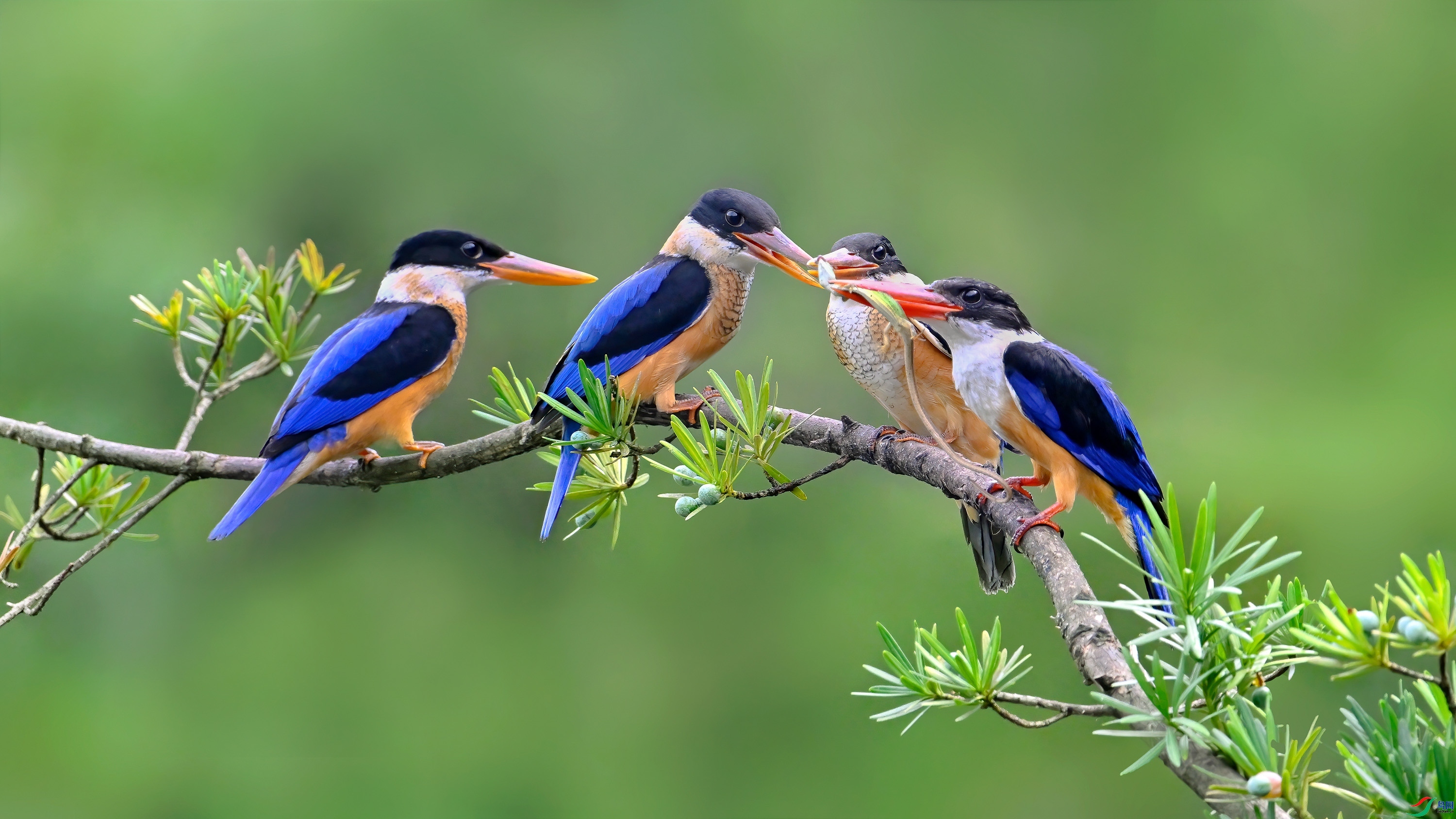 ���� ���� wh�ϳ�  ����.jpg