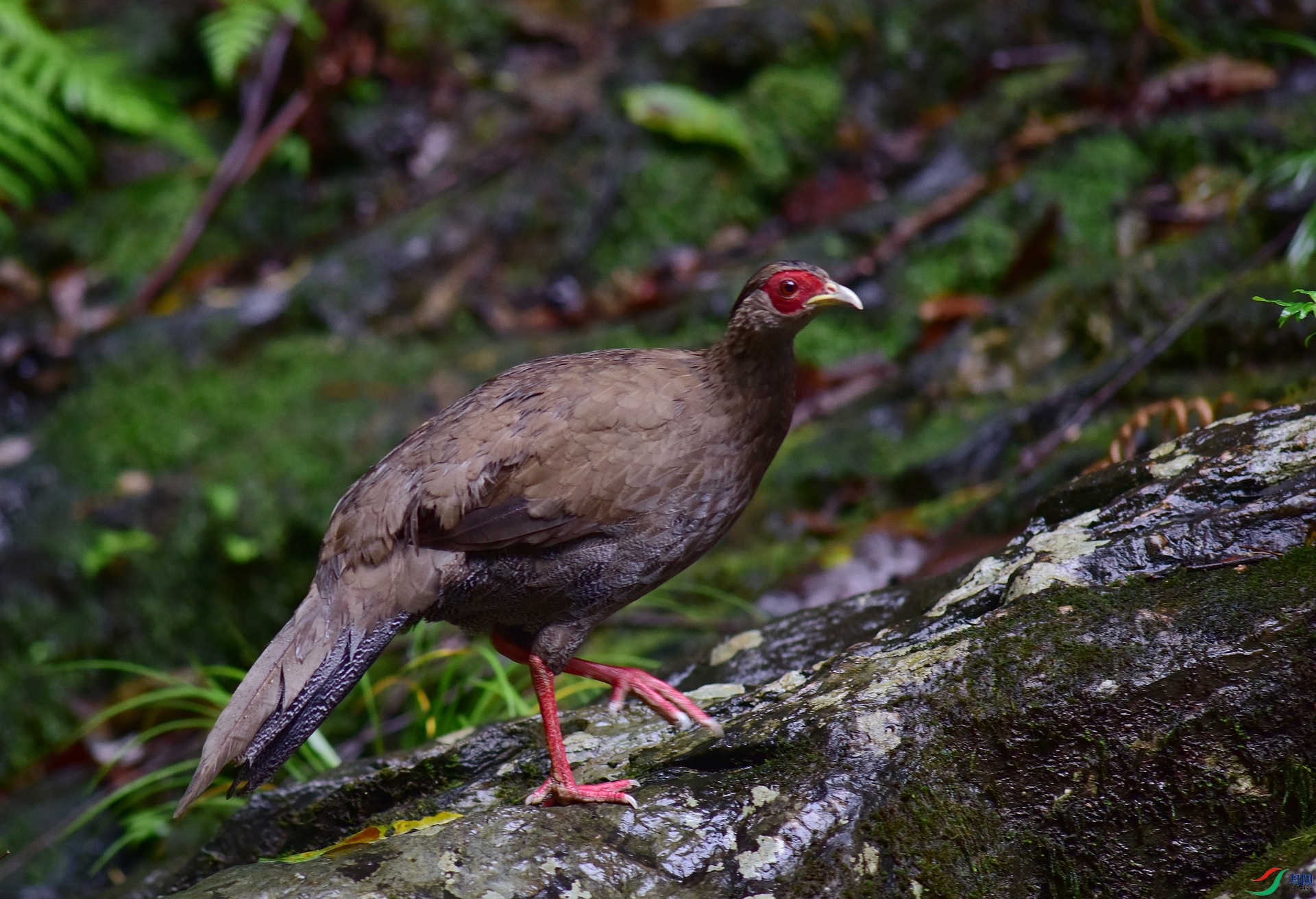 D8I_0621.jpg
