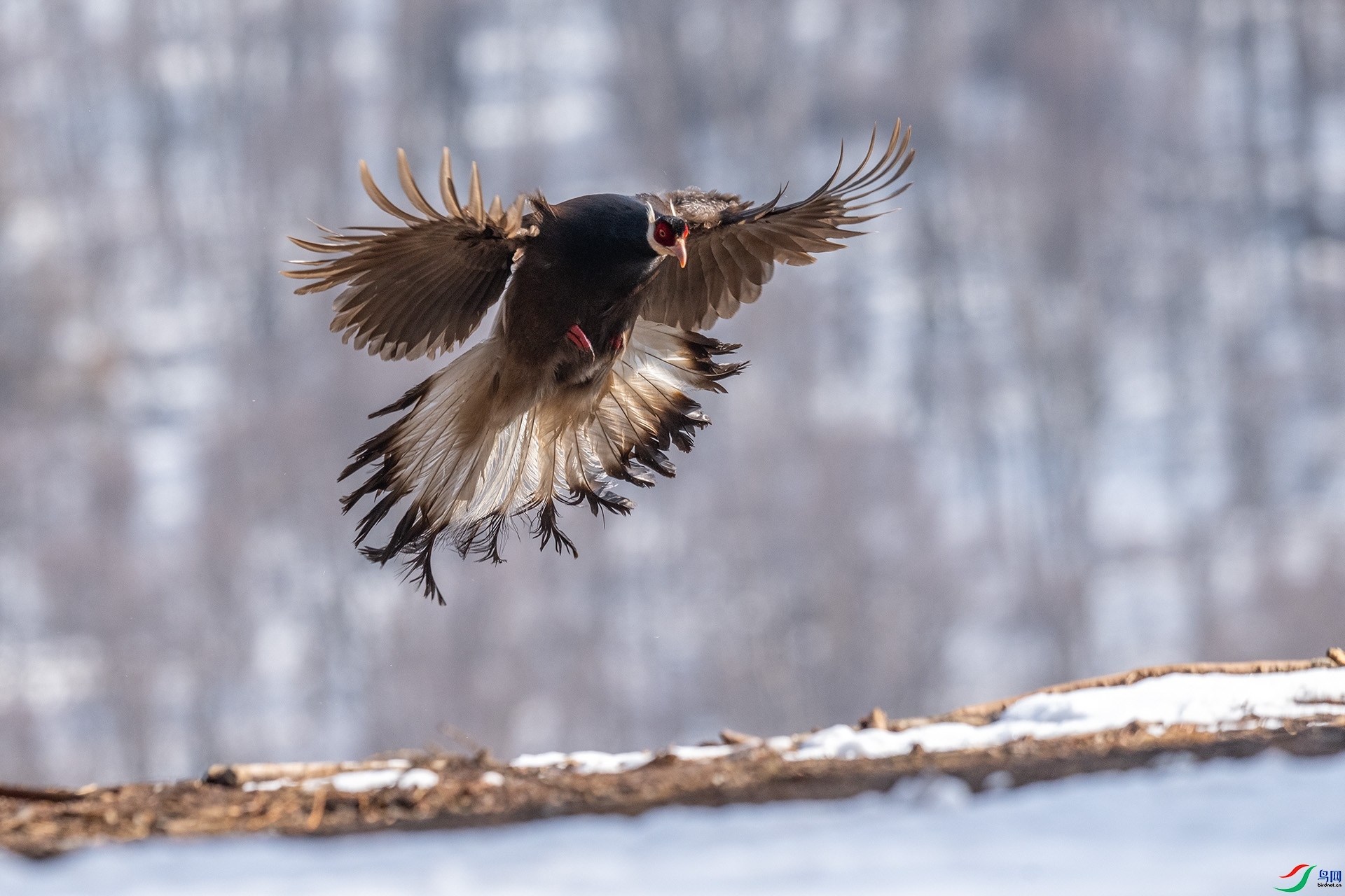 ������  ���� ��ѧ�� ��һ.jpg