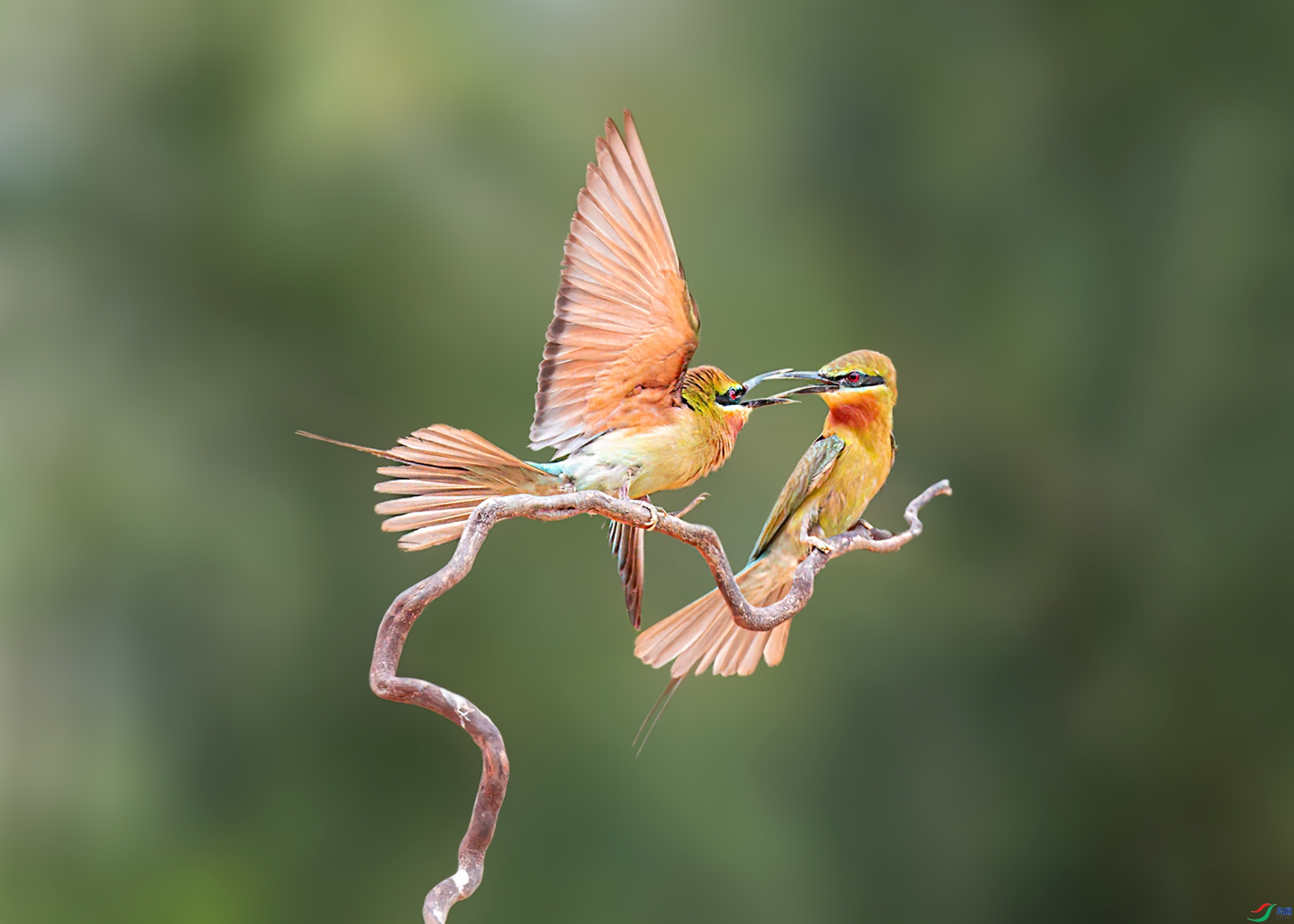 �������� ���� �ܴ�99  ��һ.jpg