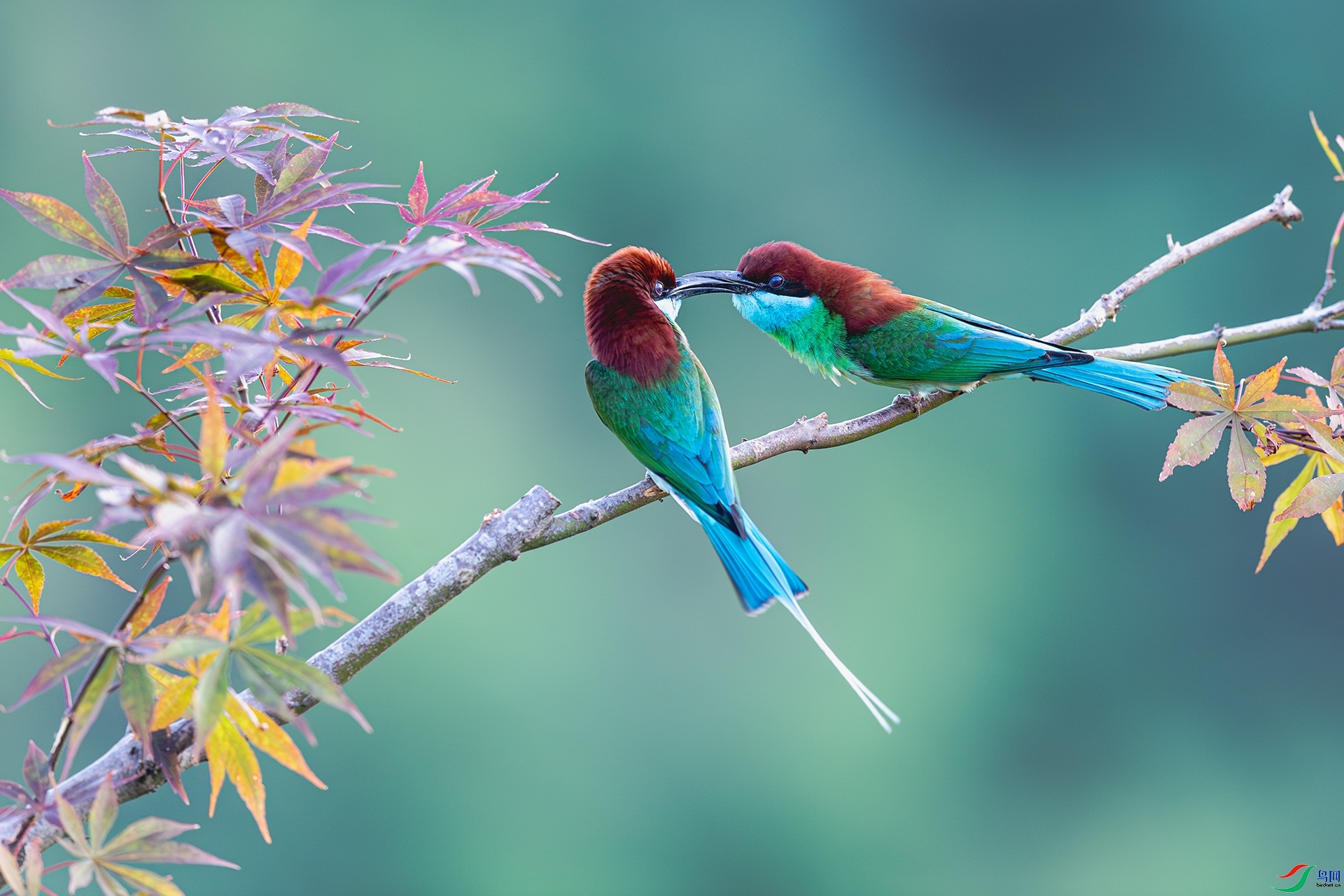 ����  ���� ����ǿ ��һ.jpg