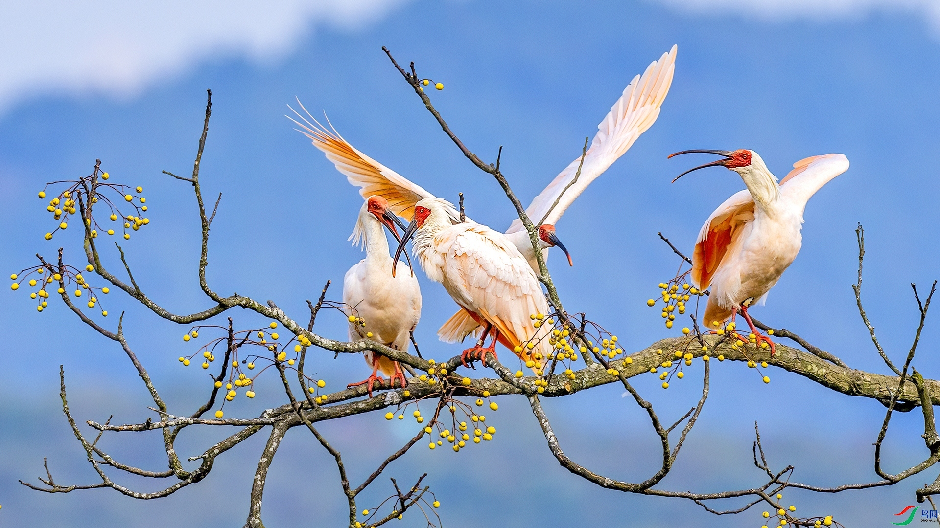 ���� ���� ������ �ܶ�.jpg