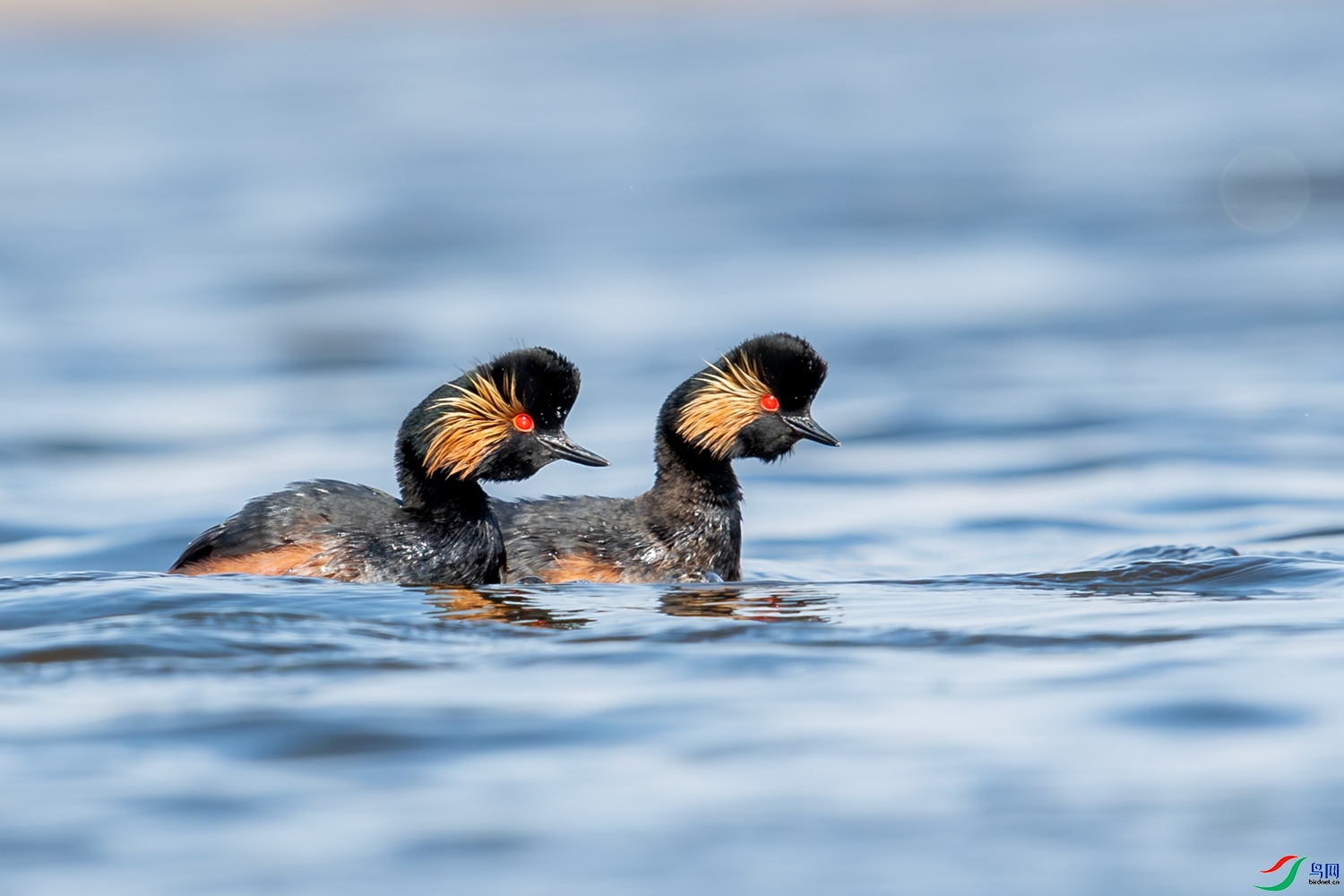 ���� ���� 0459���� �ܶ�.jpg