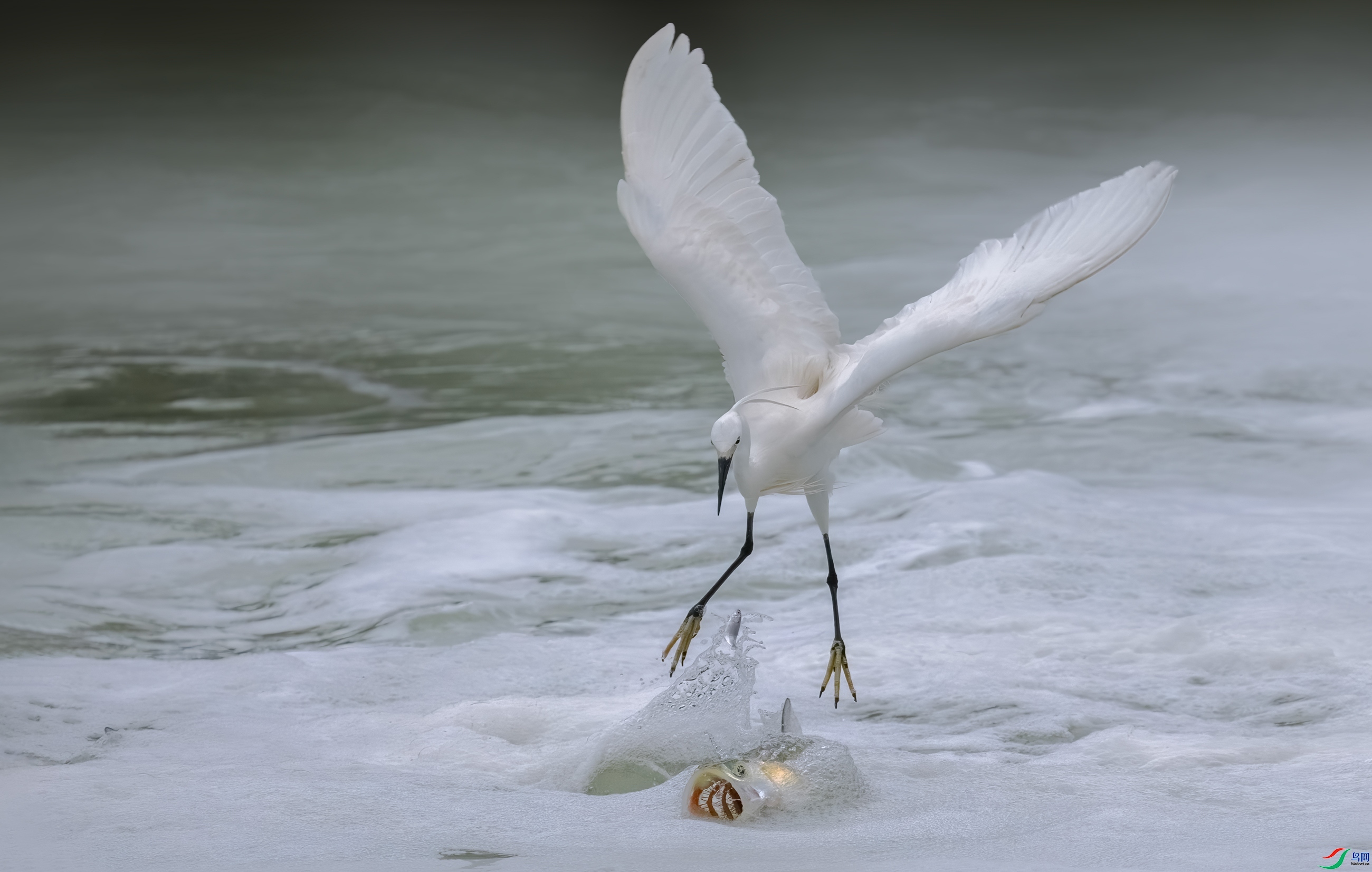 ����С�� ���� 춼ͷ� �ܶ�.jpg