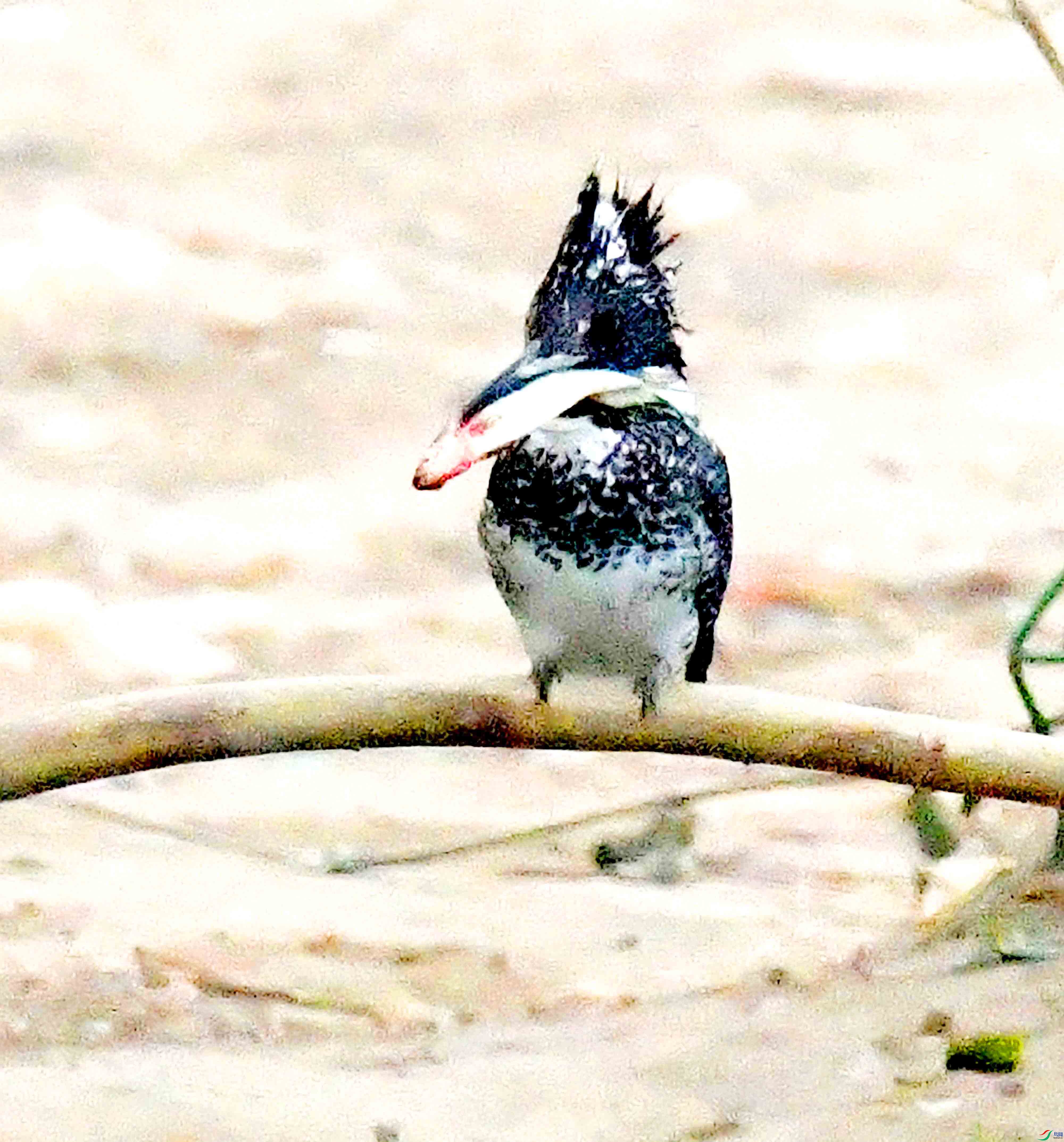 DSC_8492.JPG