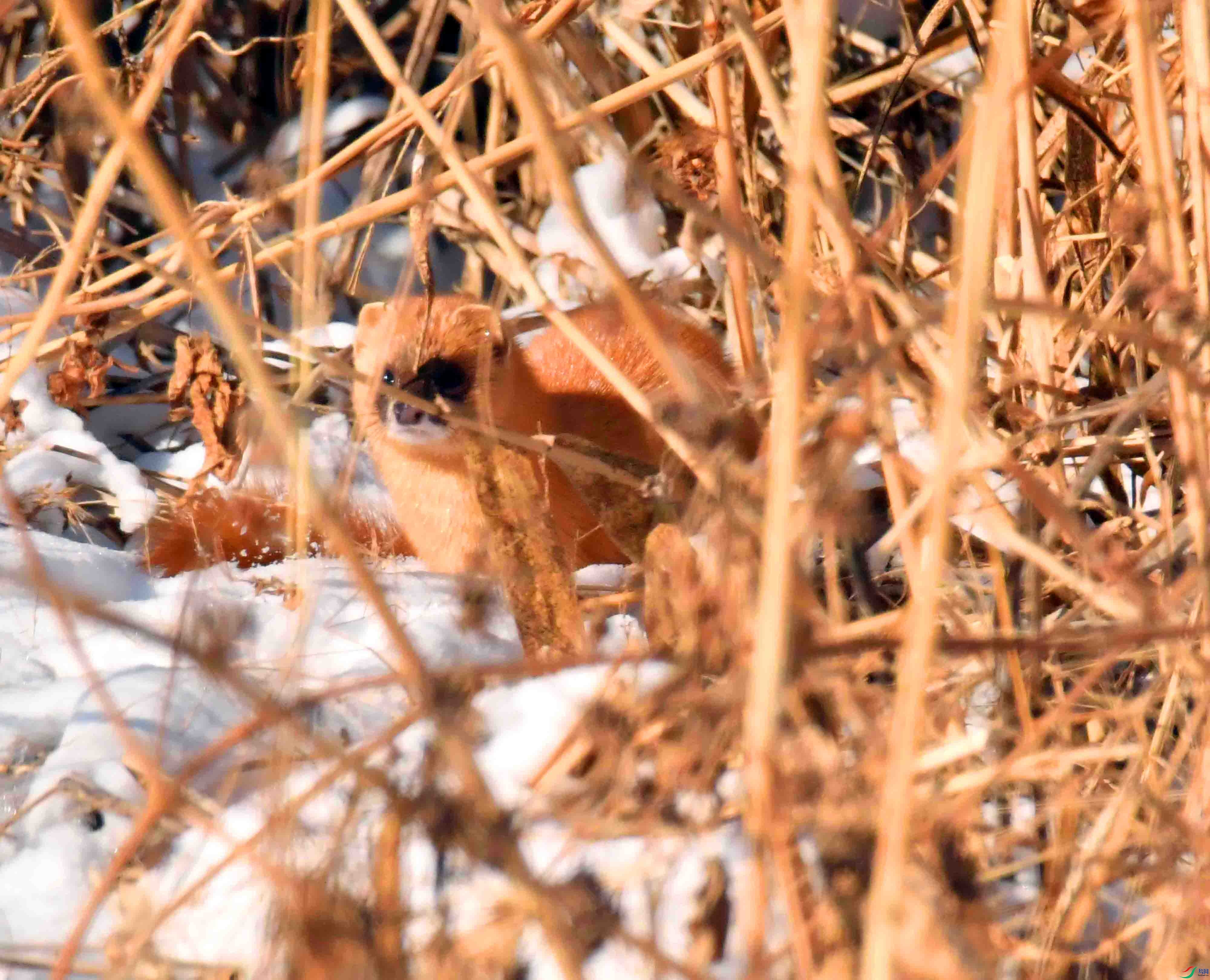 DSC_1506.JPG