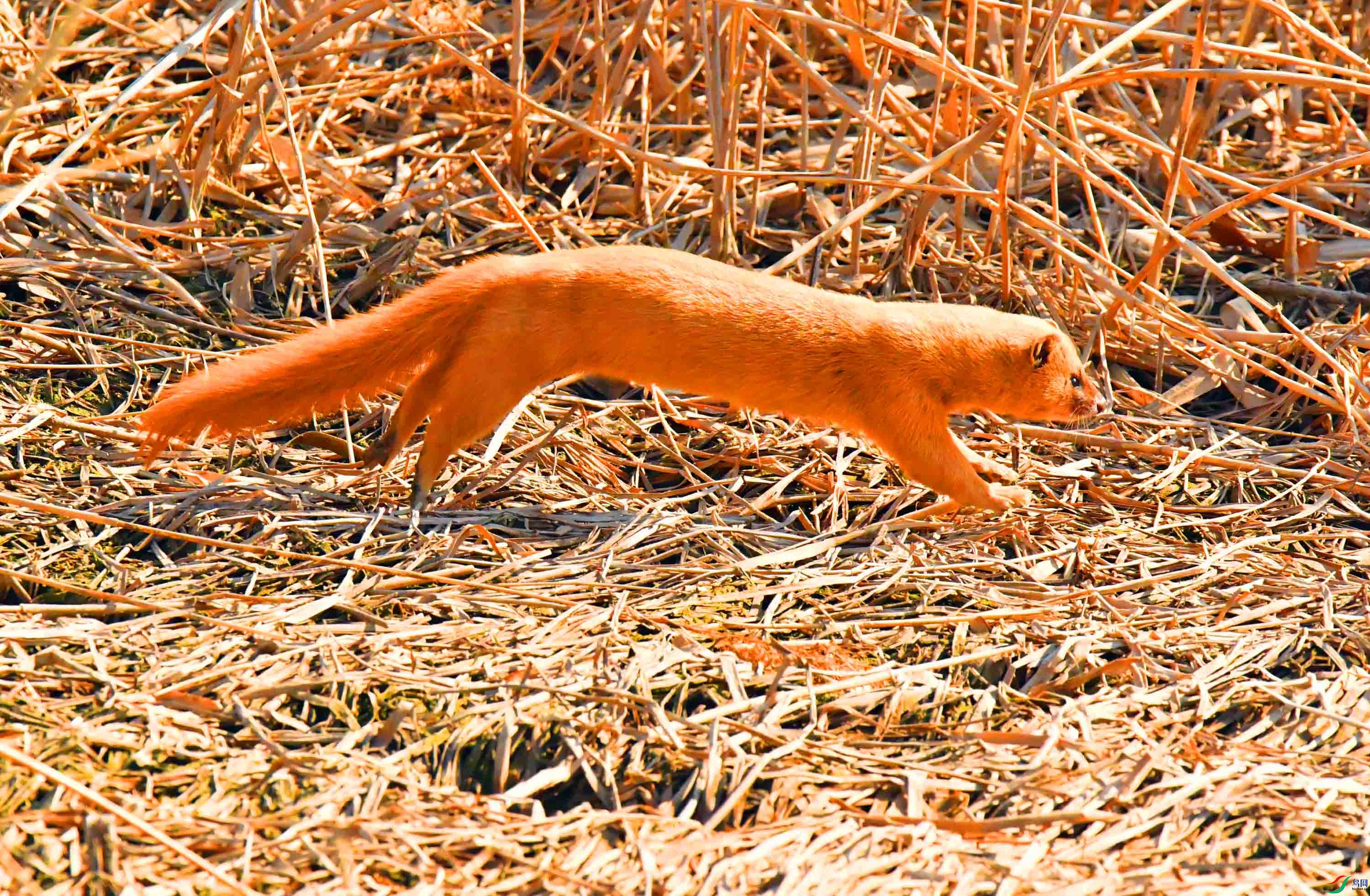DSC_2469.JPG