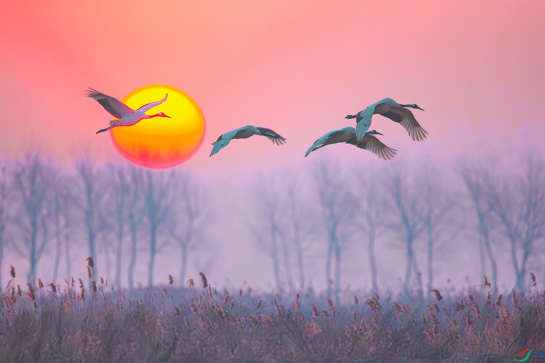 �����ɺ�